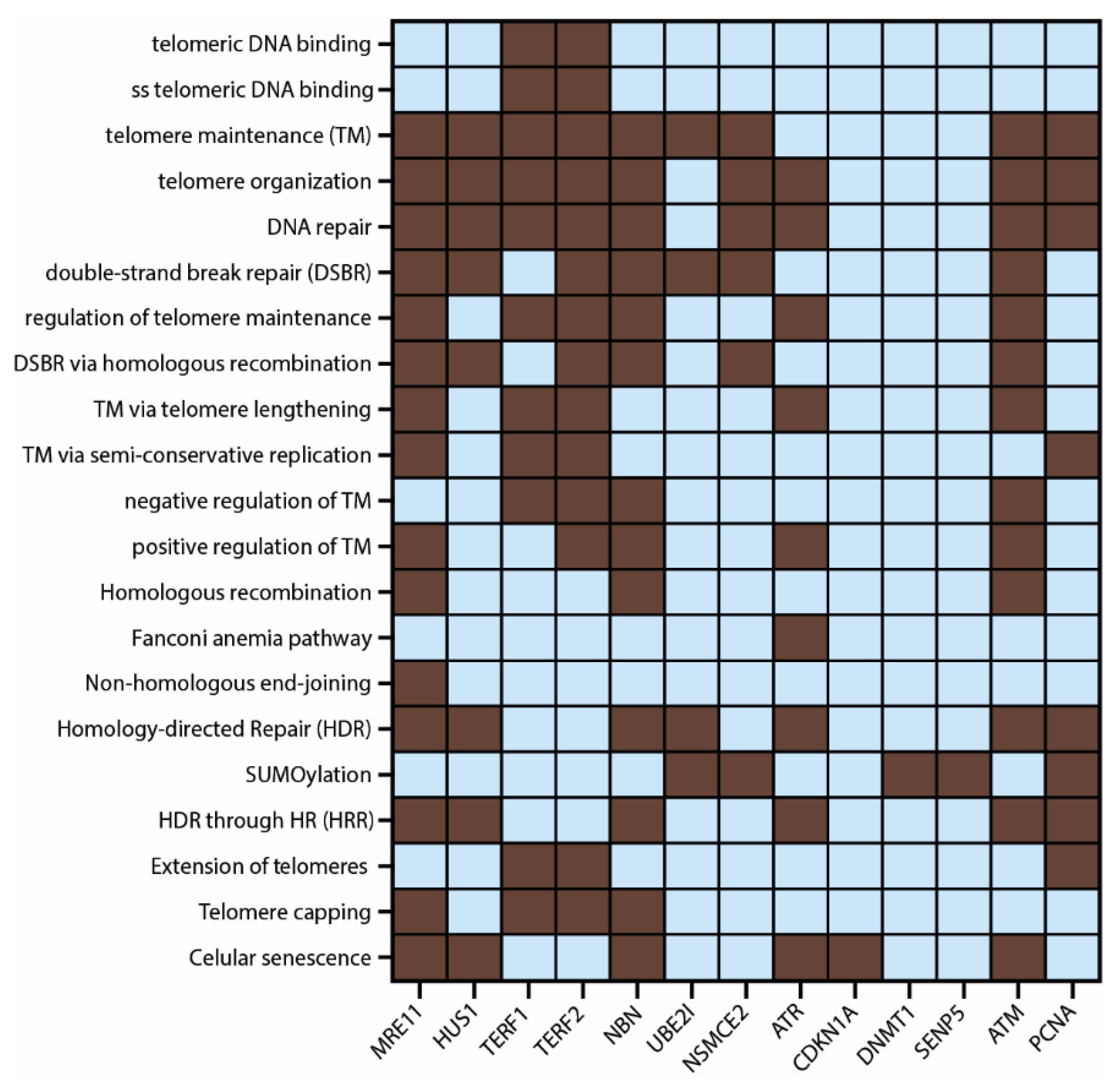 Biology 11 00185 g007 Biology 11 00185 g007