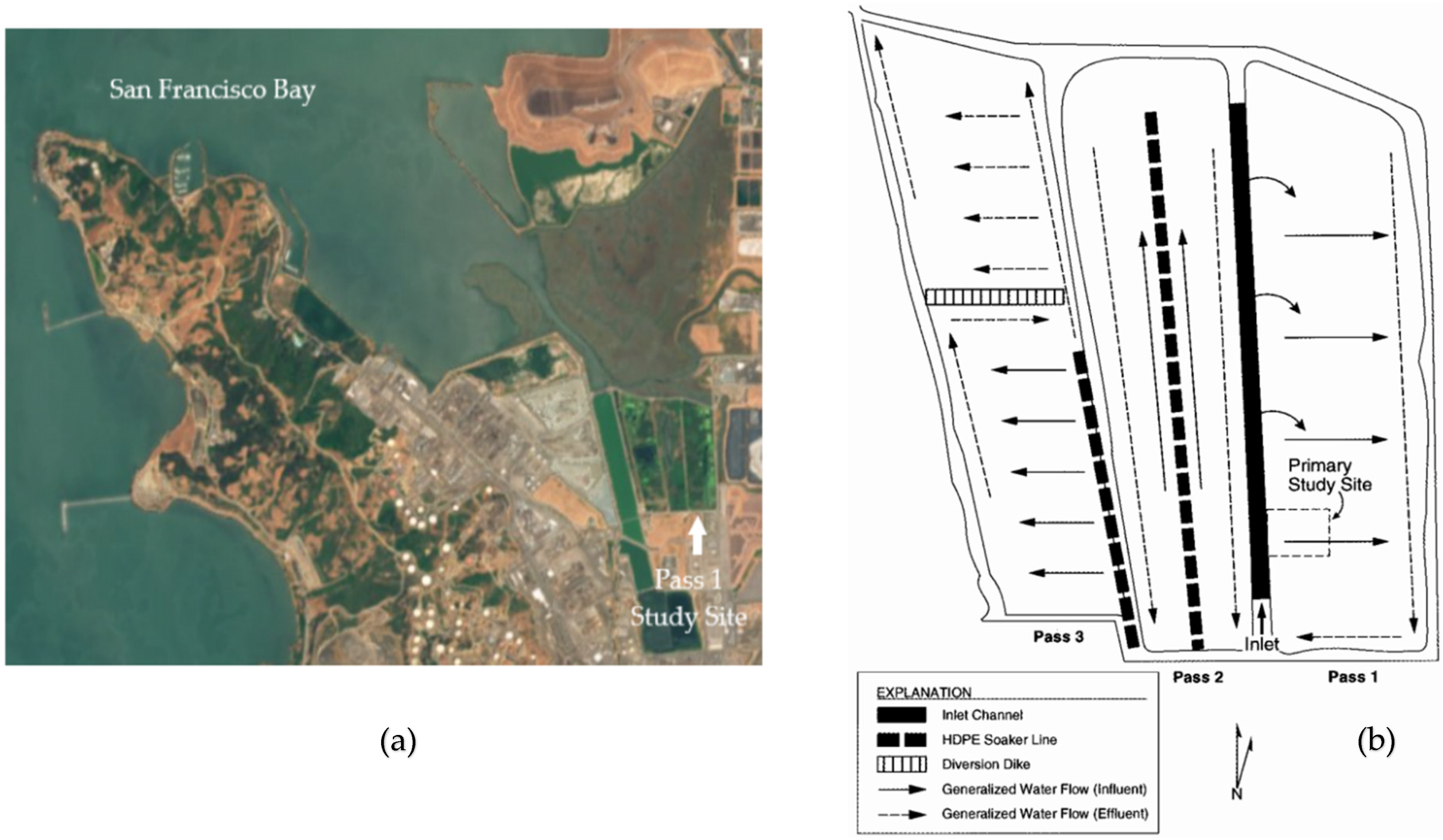 Biology 11 00188 g001 Biology 11 00188 g001