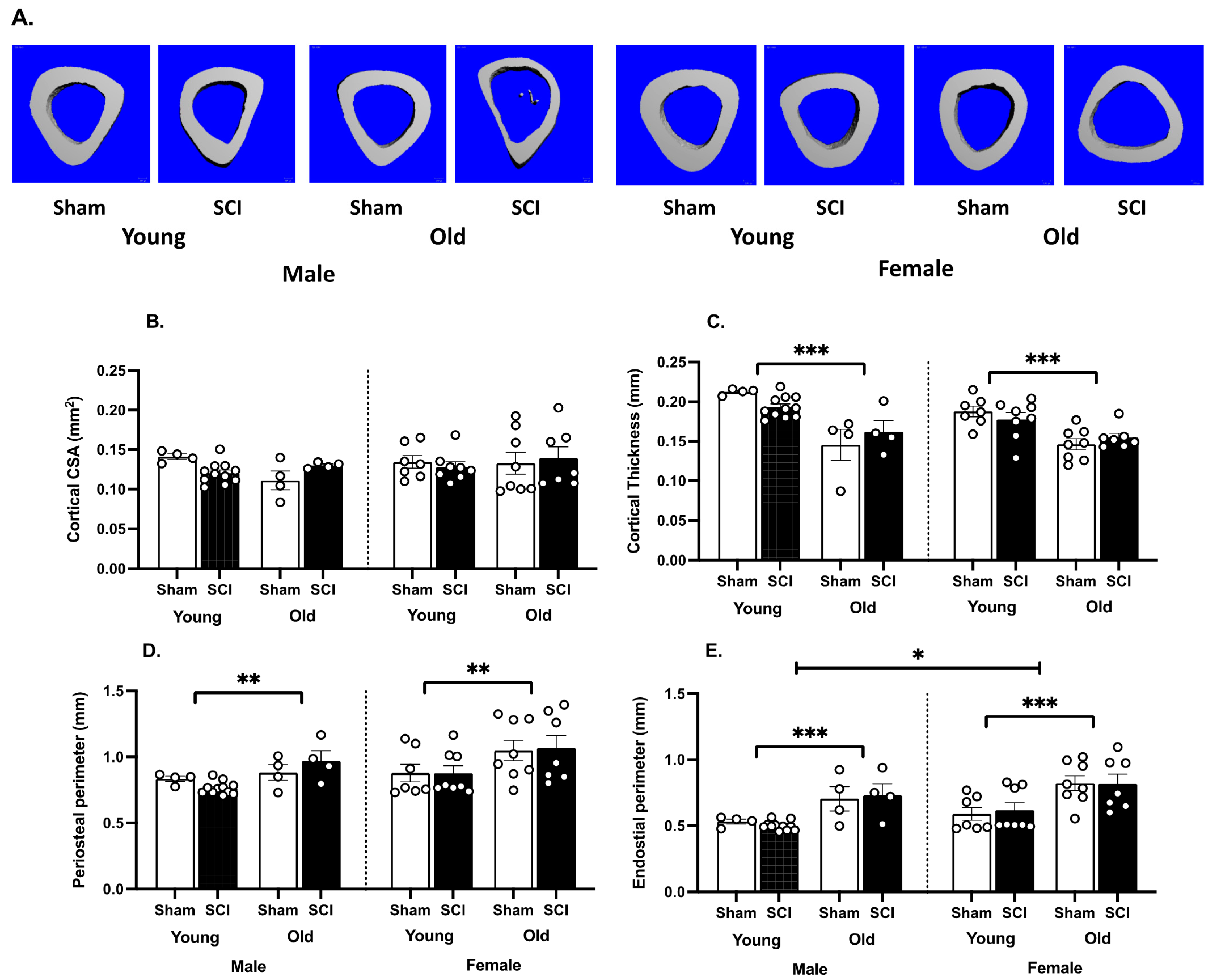 Biology 11 00189 g005
