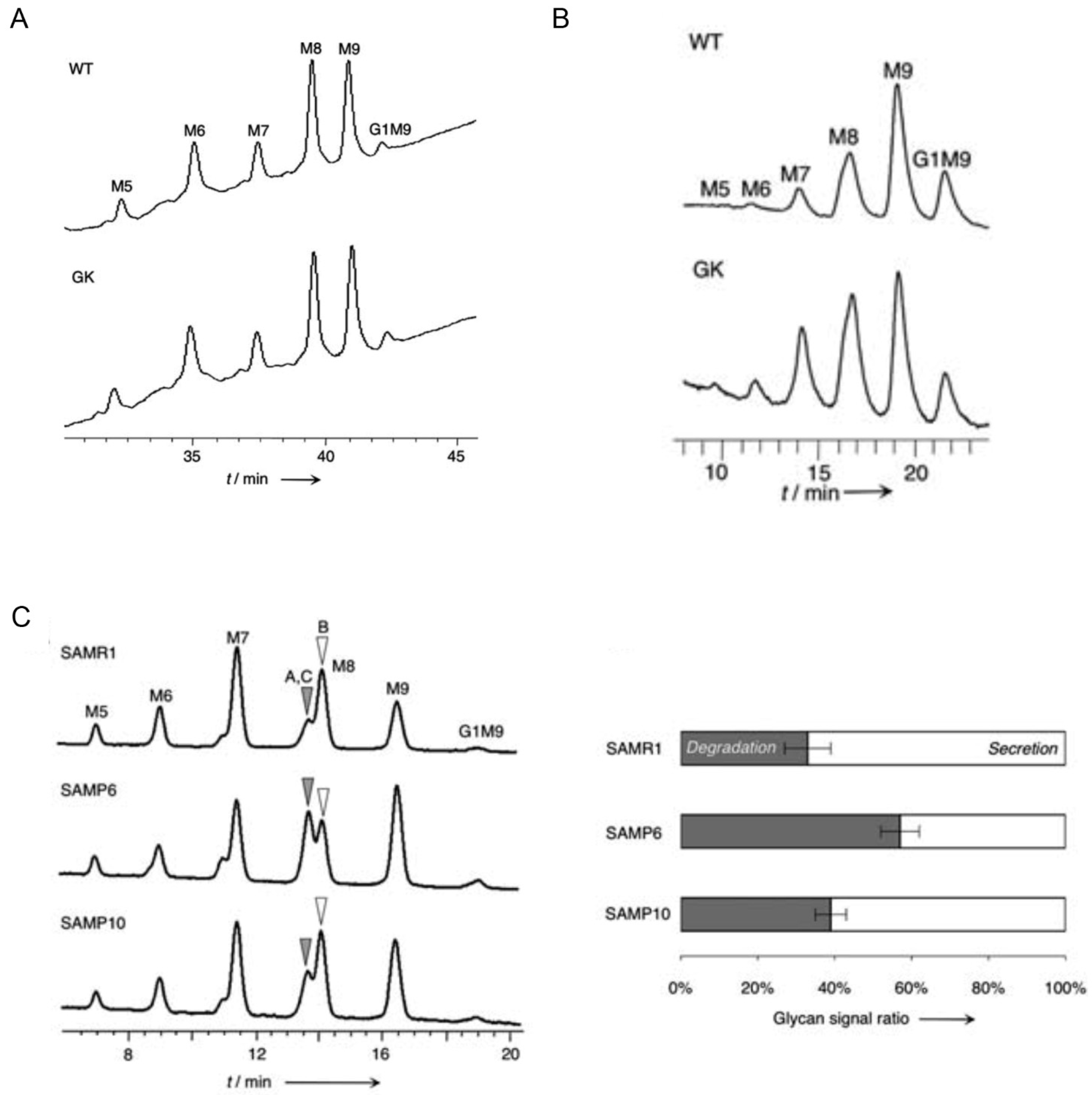Biology 11 00199 g002