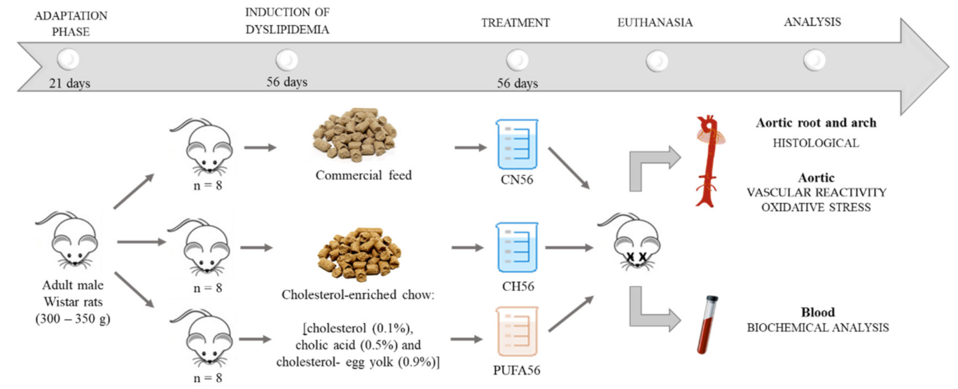 Biology 11 00202 g001 Biology 11 00202 g001