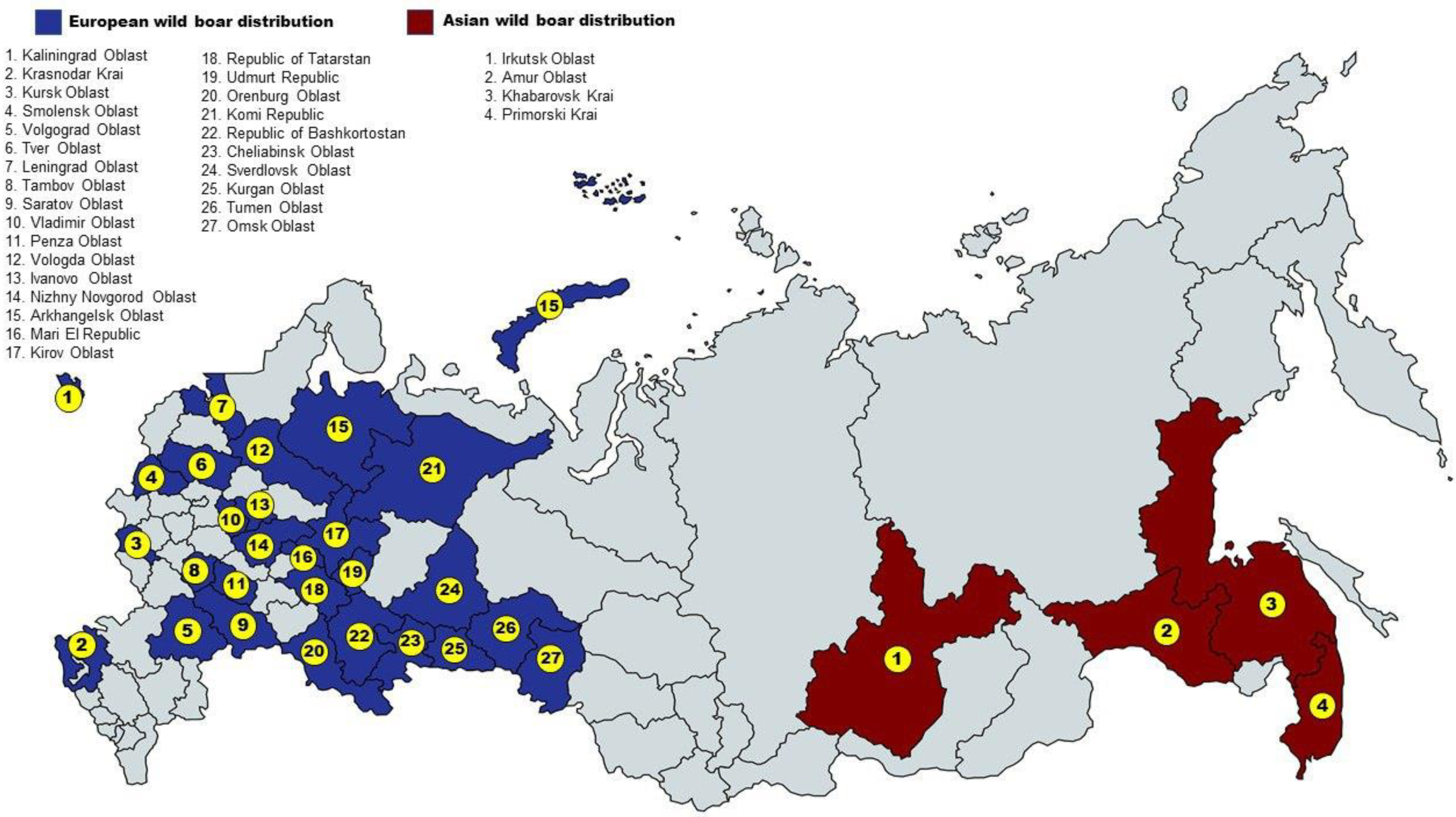 Biology 11 00203 g001