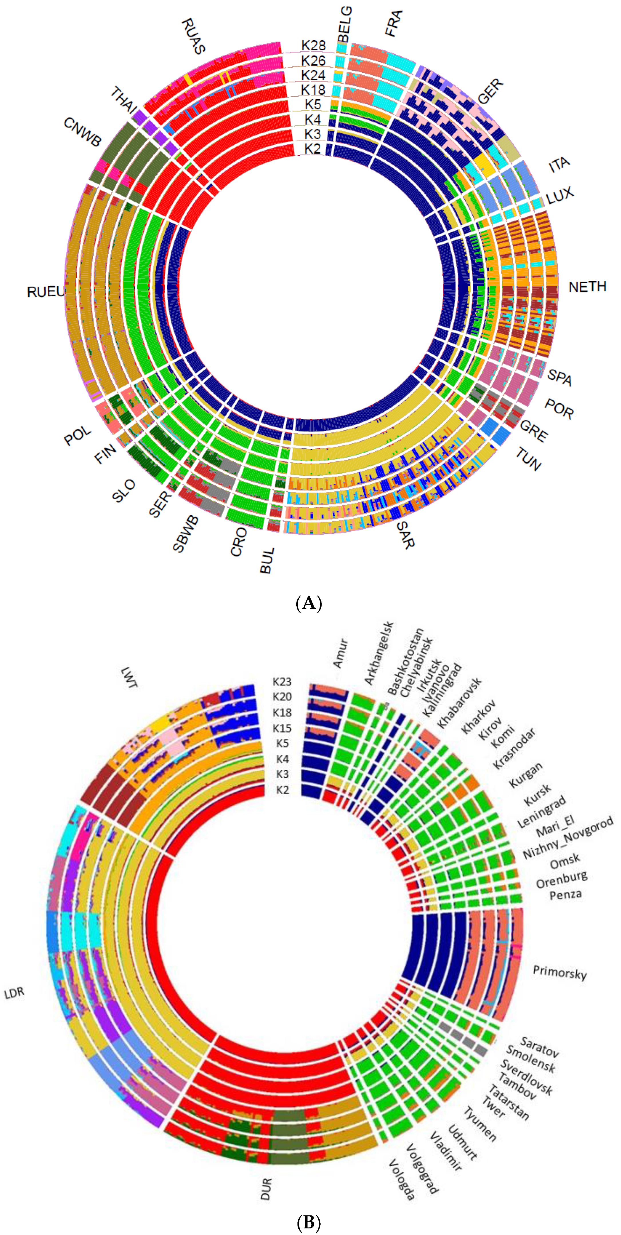 Biology 11 00203 g003