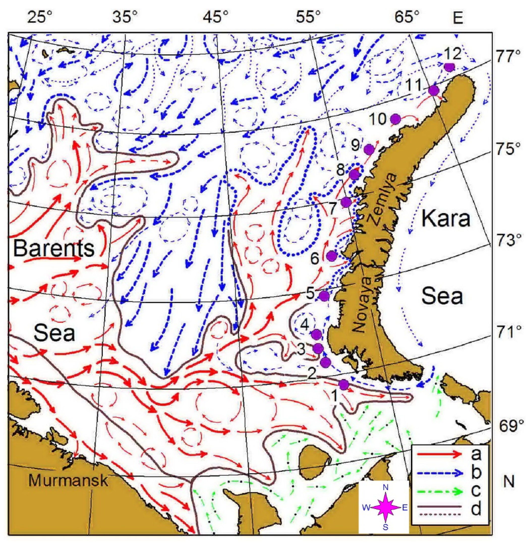 Biology 11 00204 g001 Biology 11 00204 g001