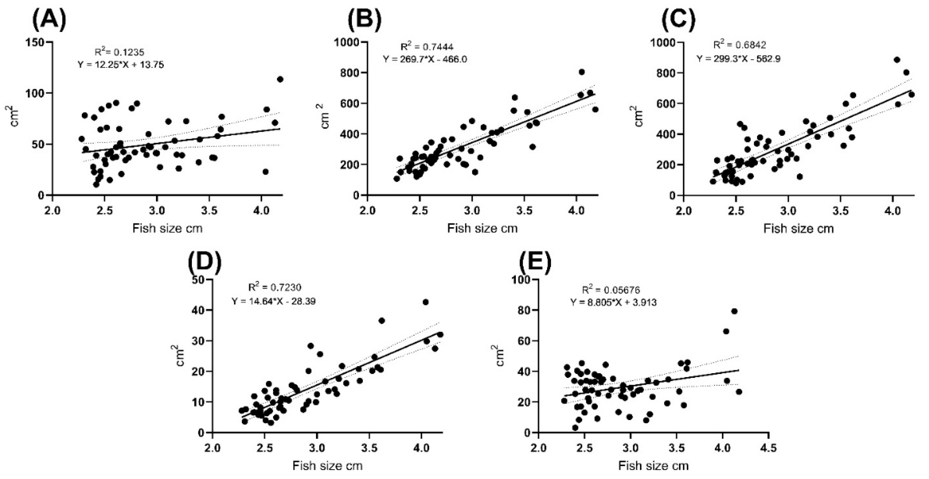 Biology 11 00205 g004 Biology 11 00205 g004
