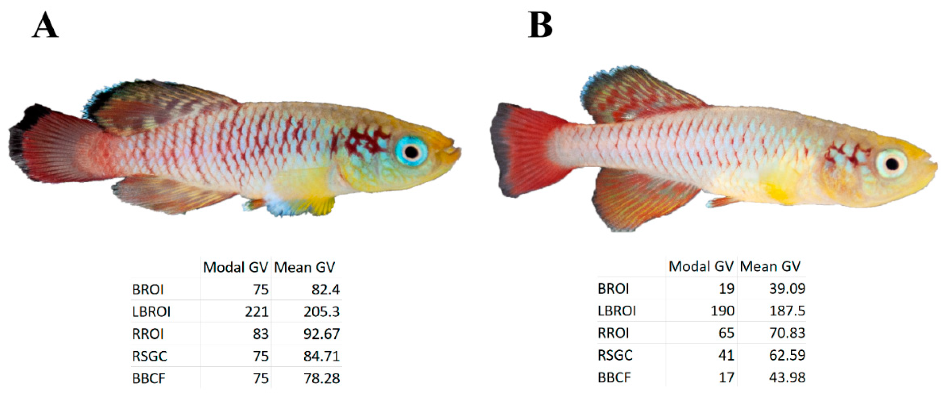 Biology 11 00205 g007 Biology 11 00205 g007