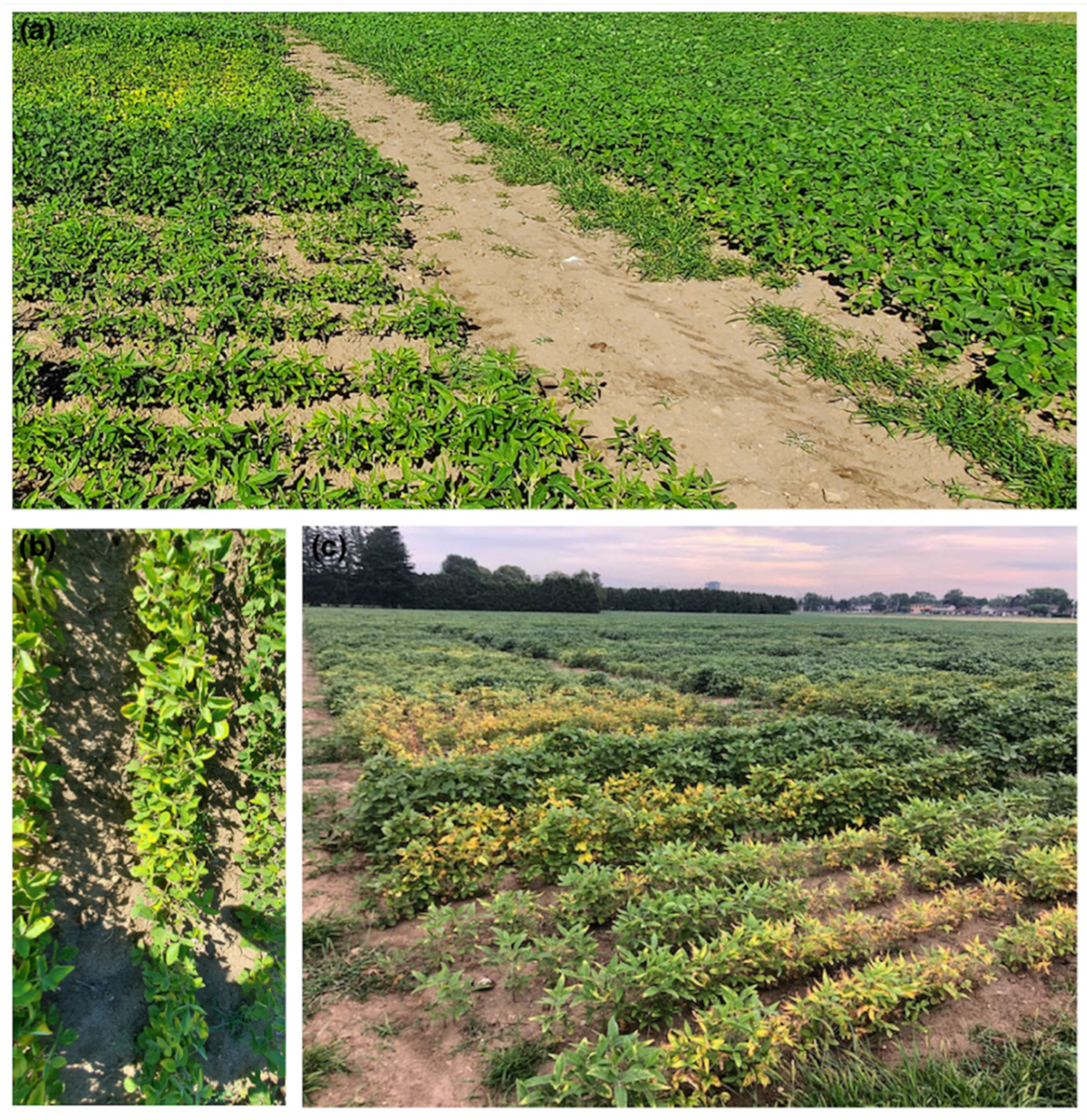 Biology 11 00211 g002