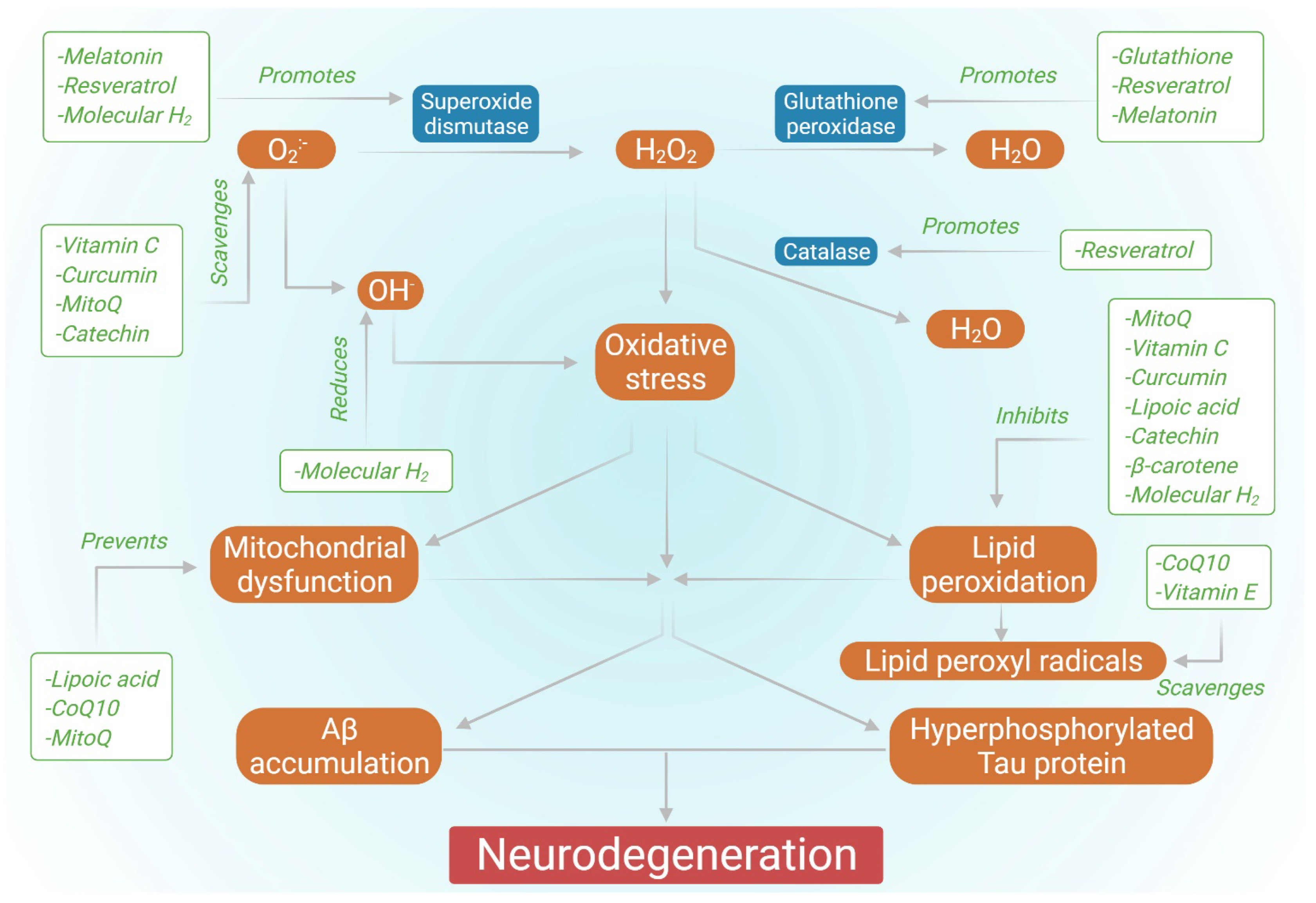 Biology 11 00212 g001