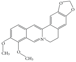 Biology 11 00212 i009