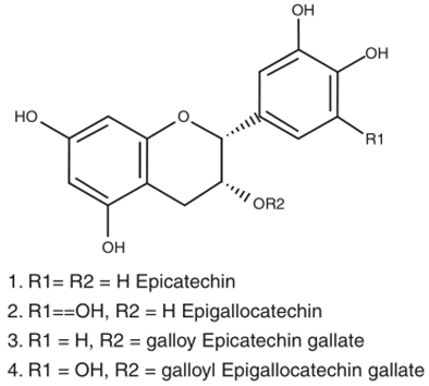 Biology 11 00212 i017