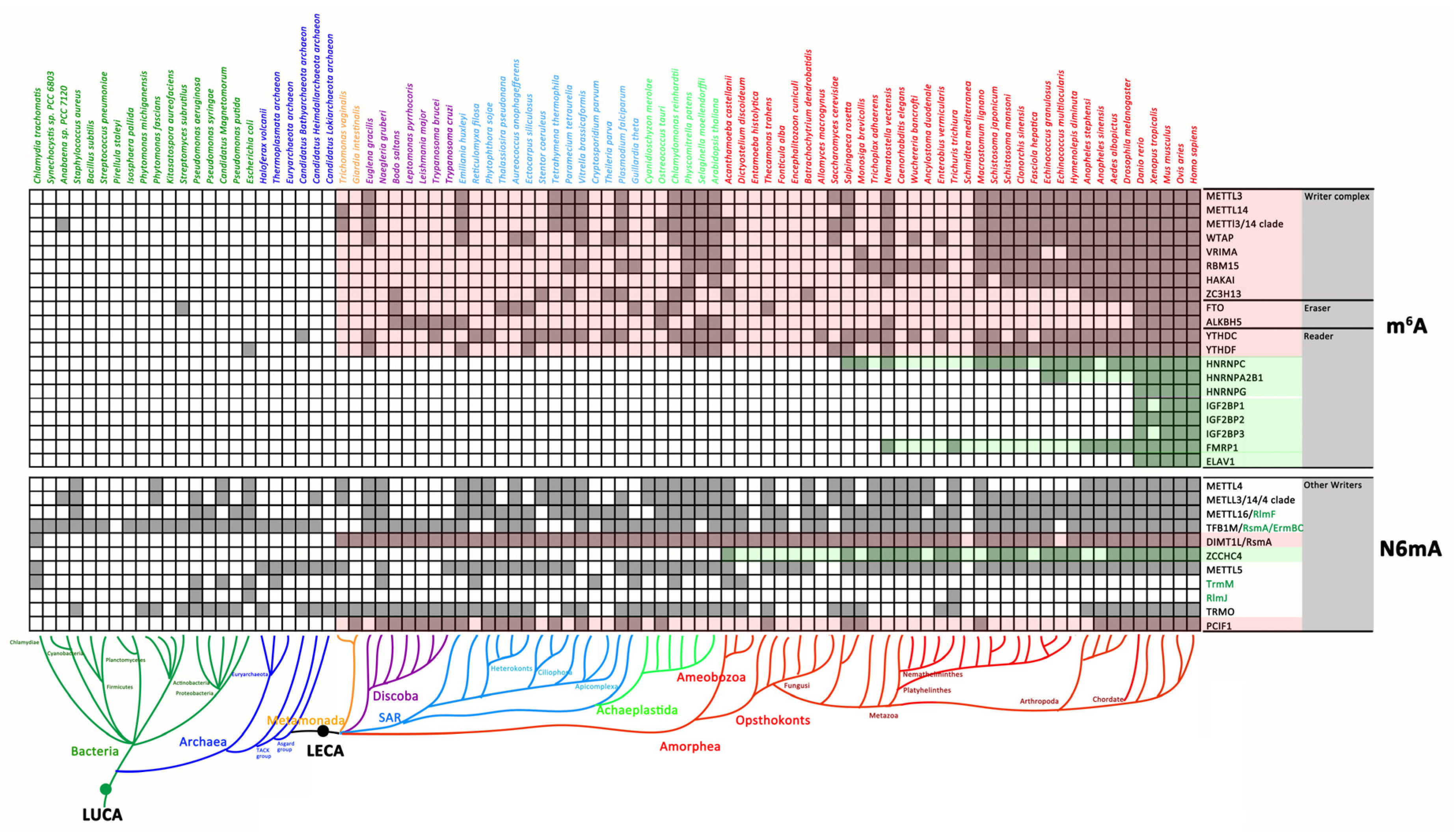 Biology 11 00214 g002
