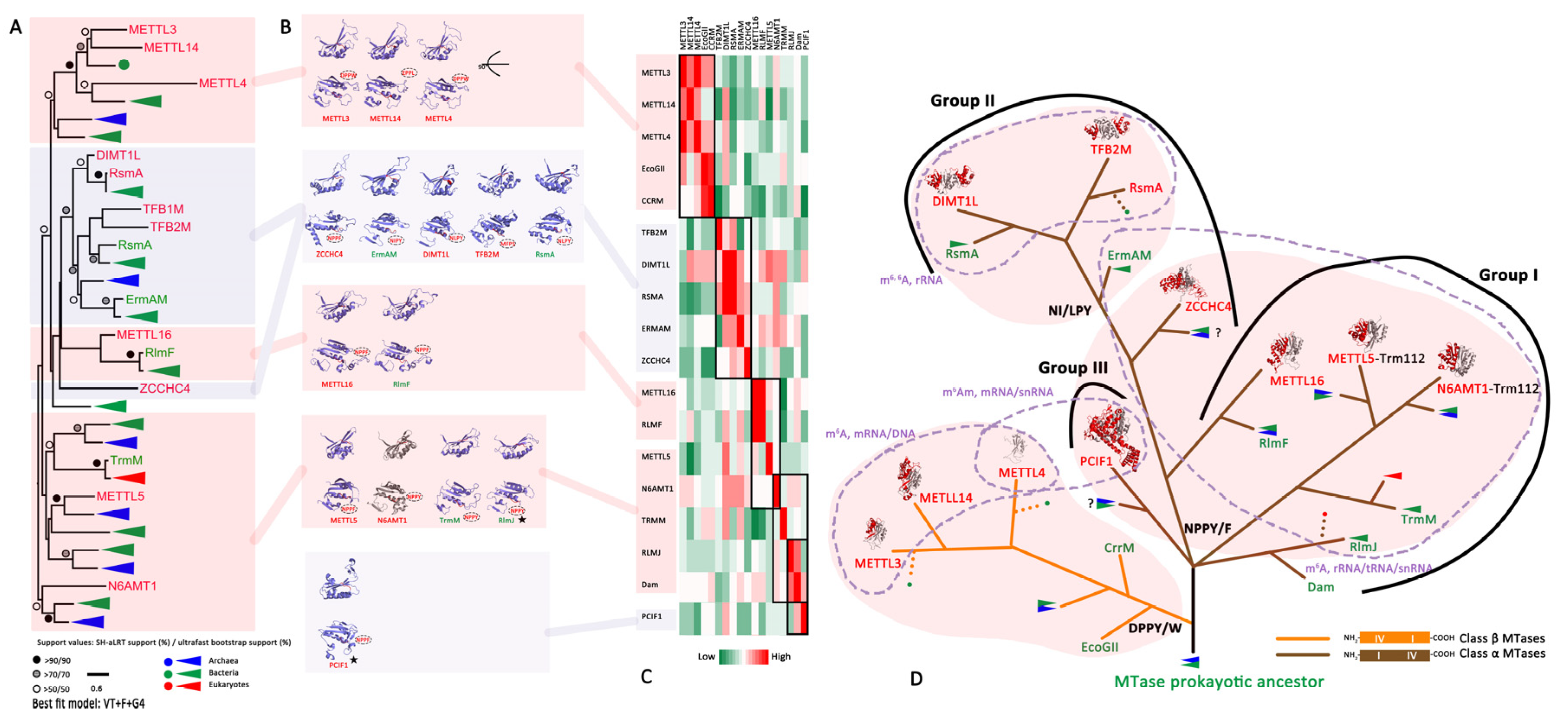 Biology 11 00214 g003