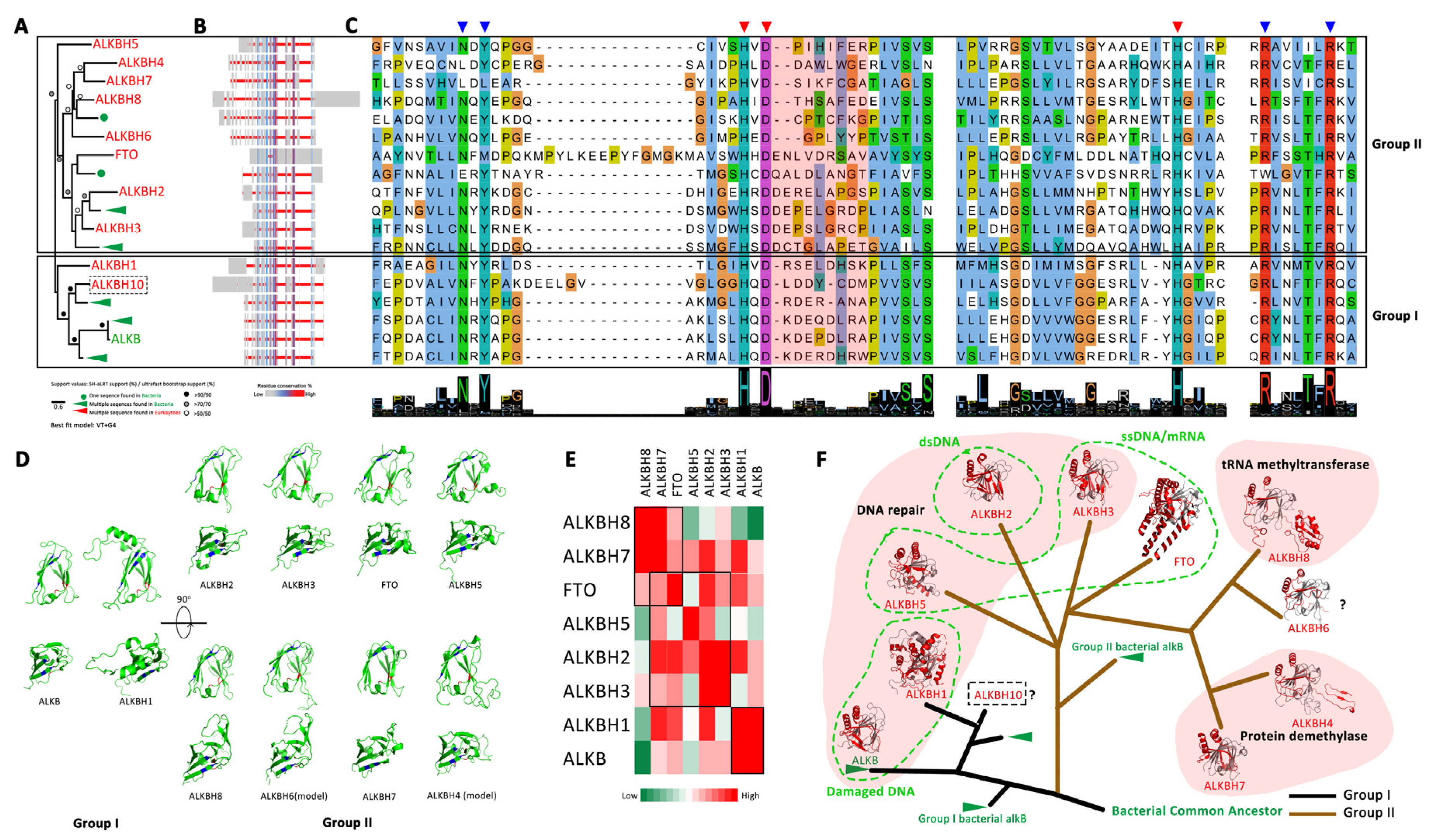 Biology 11 00214 g004