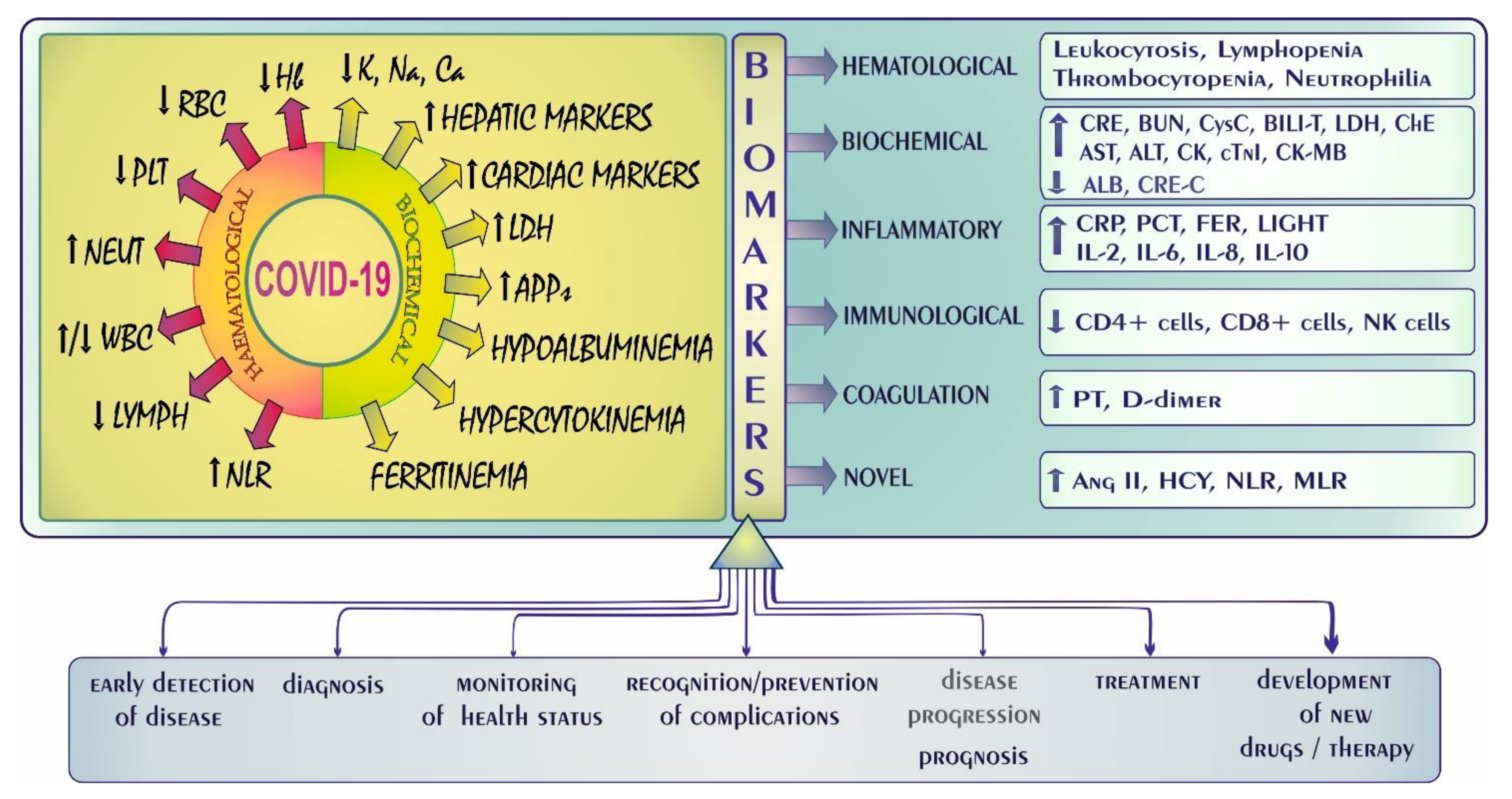 Biology 11 00215 g003 Biology 11 00215 g003