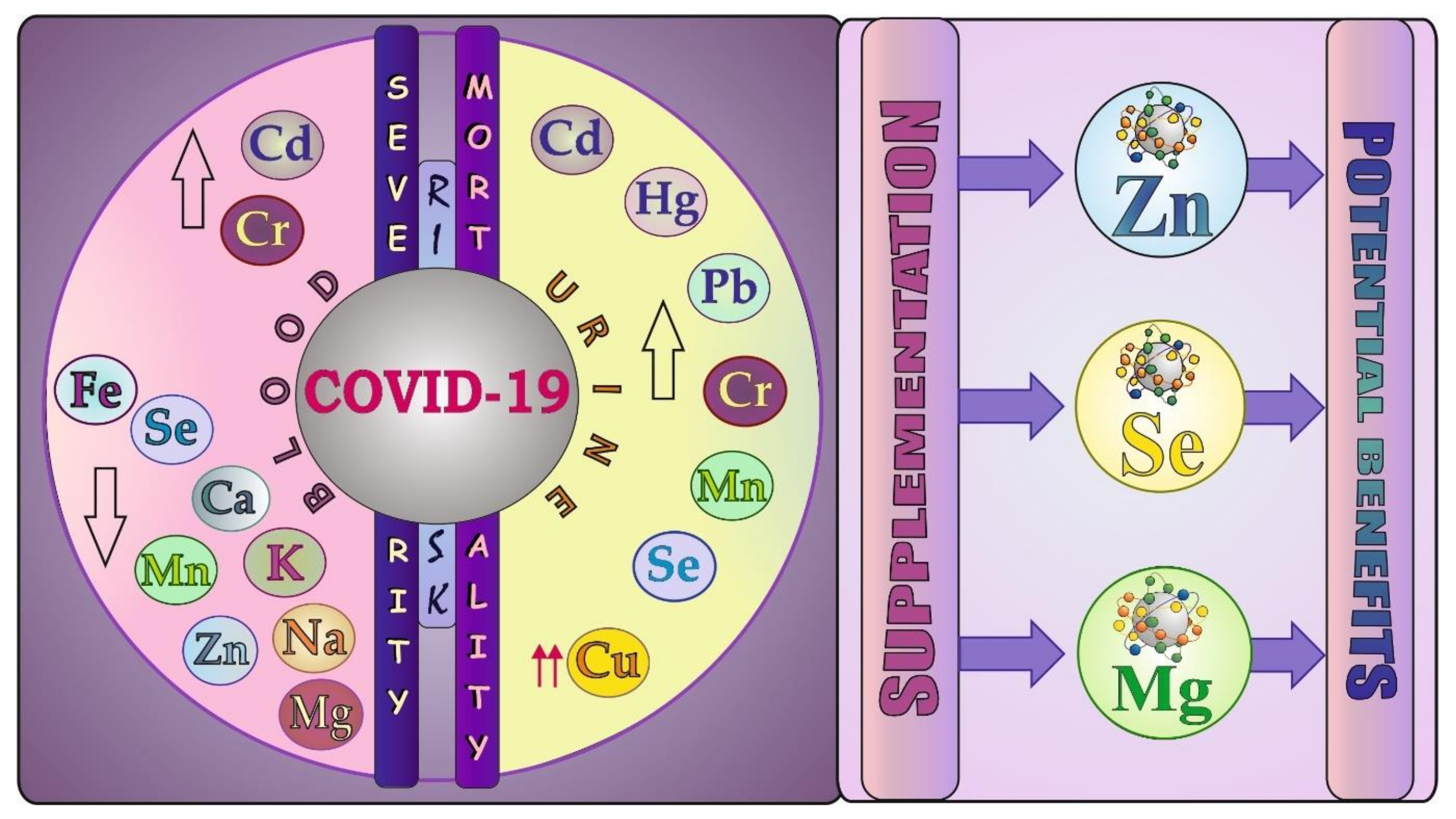 Biology 11 00215 g007 Biology 11 00215 g007