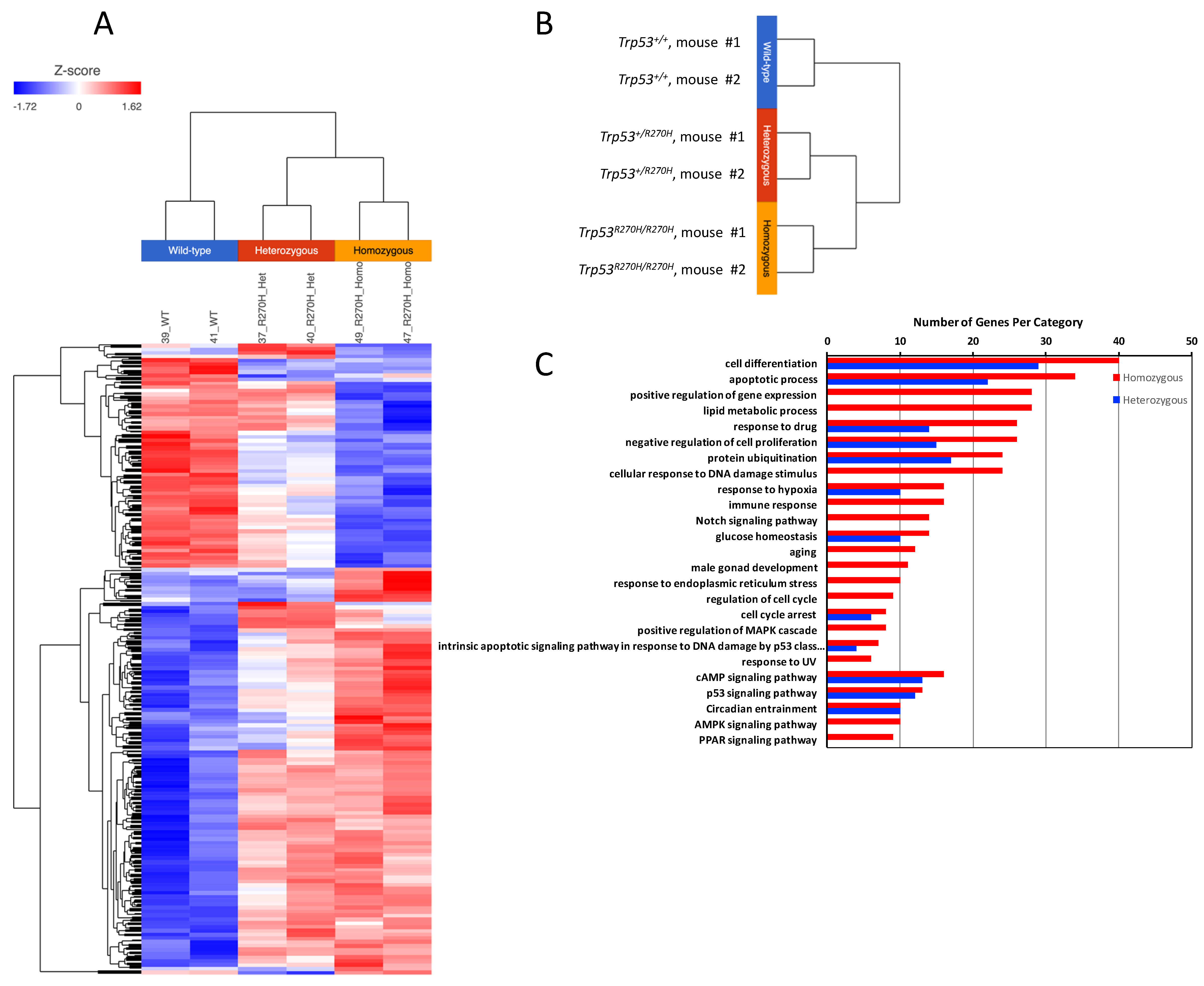 Biology 11 00218 g002 550