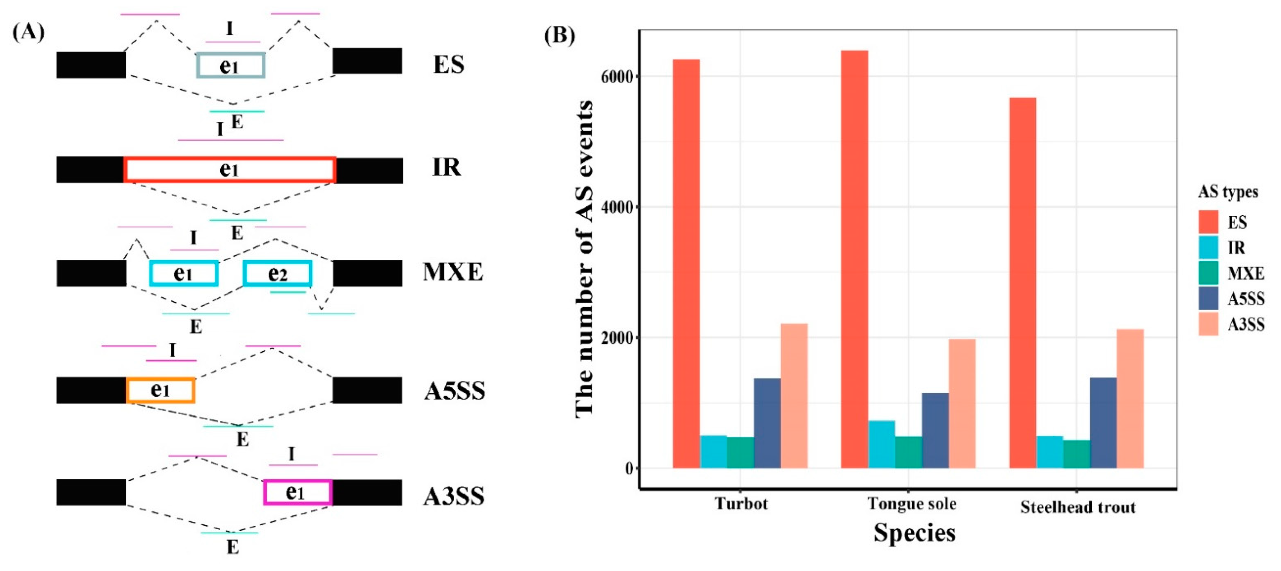 Genome-Wide Analysis of Alternative Splicing (AS) Mechanism