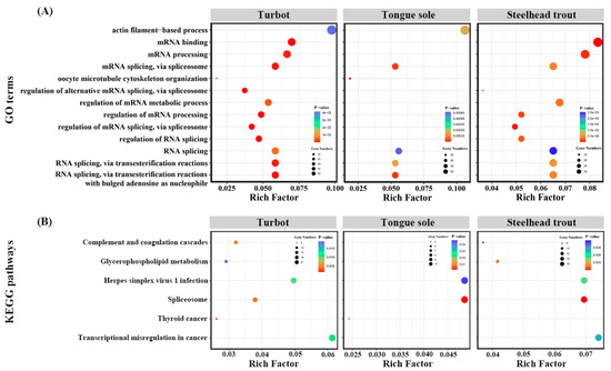 Genome-Wide Analysis of Alternative Splicing (AS) Mechanism