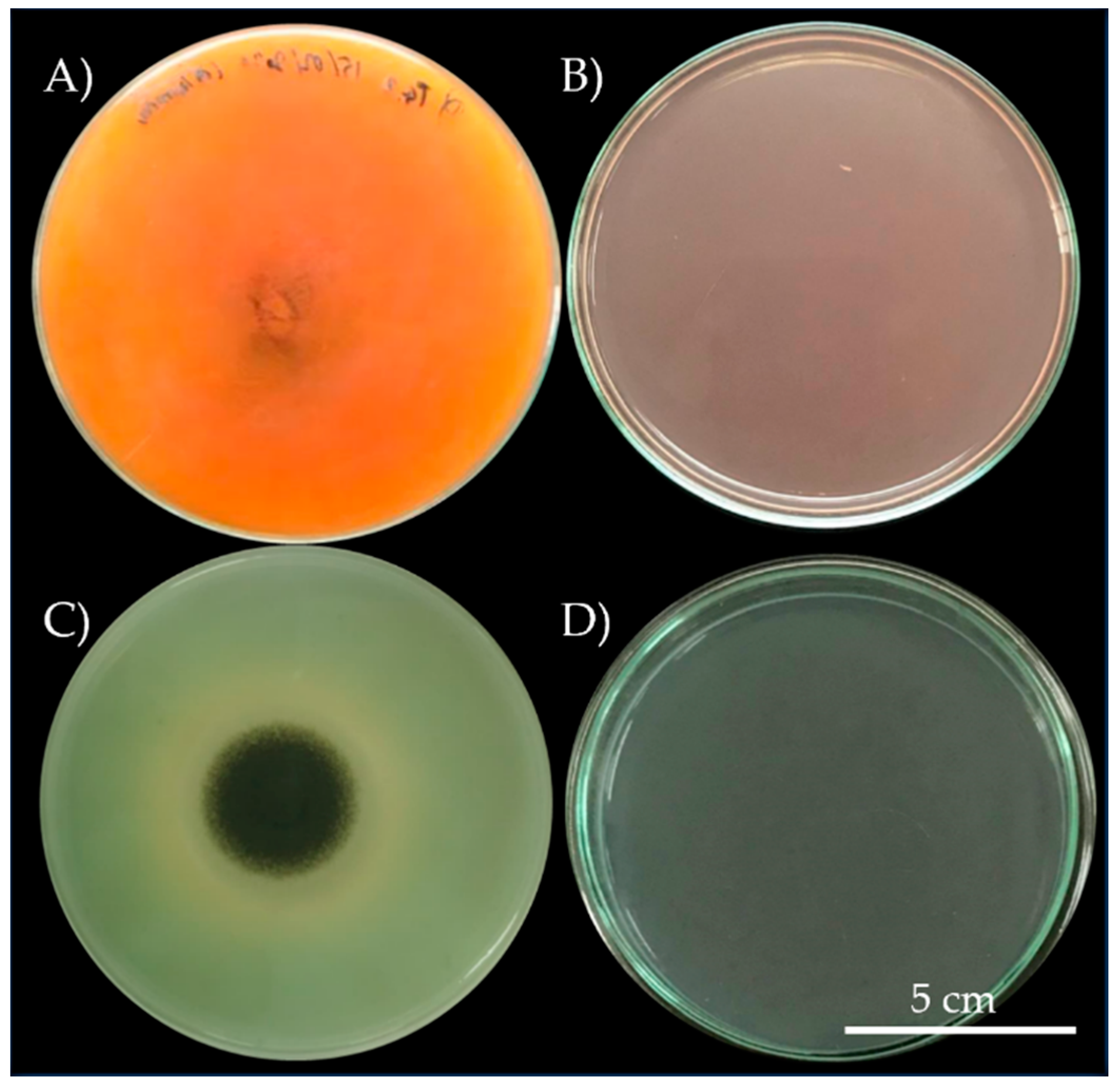 Biology 11 00228 g002 Biology 11 00228 g002