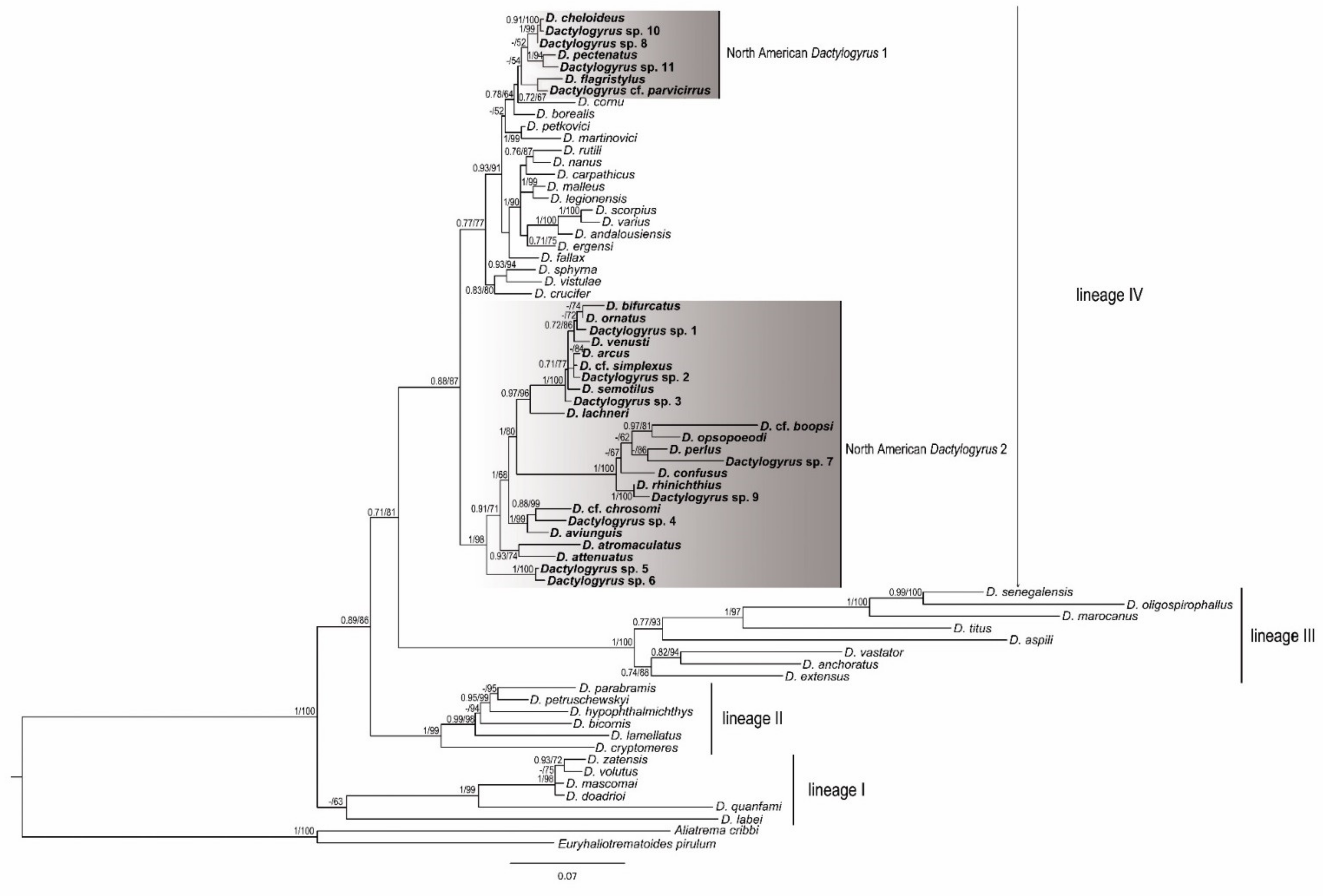 Biology 11 00229 g001