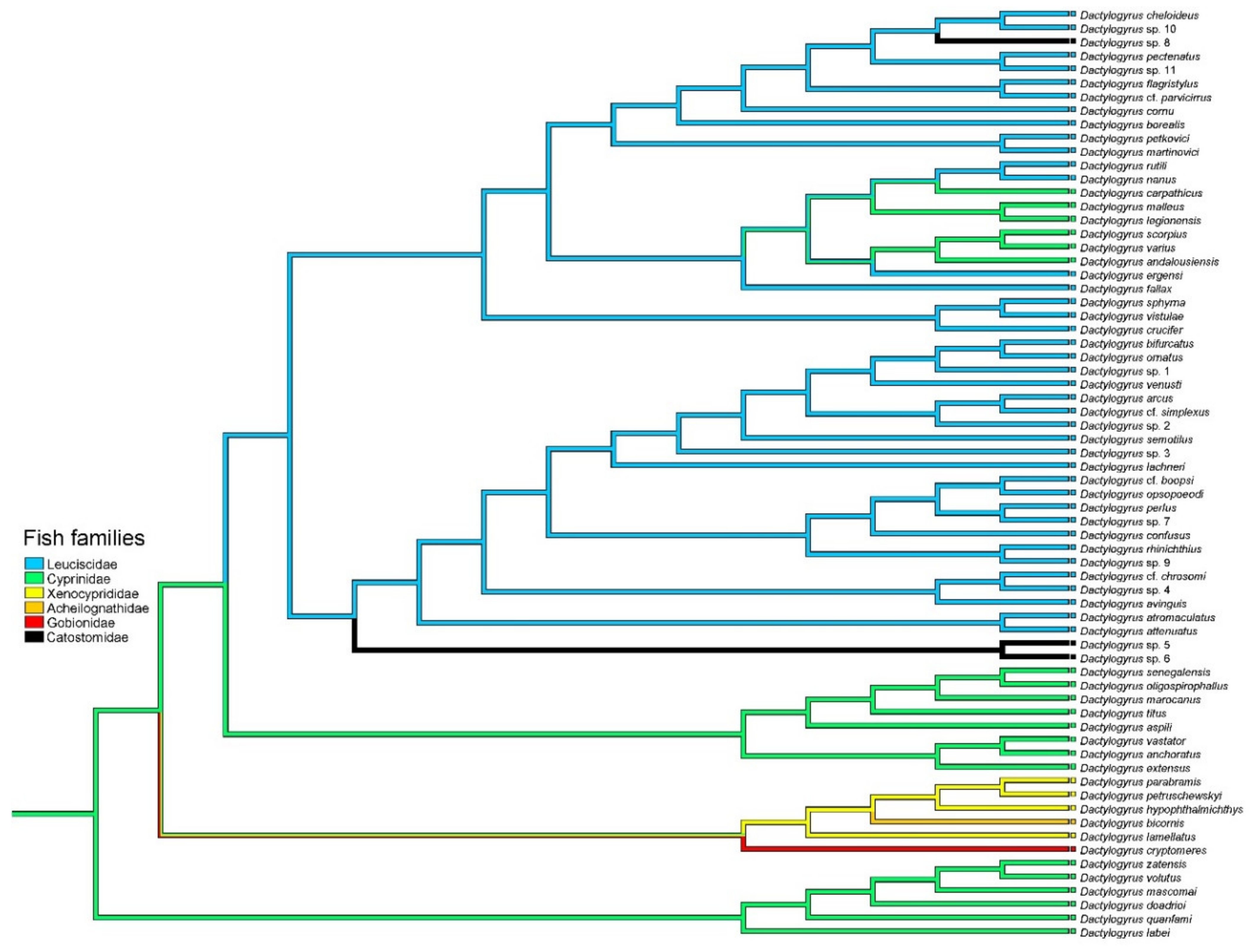 Biology 11 00229 g004