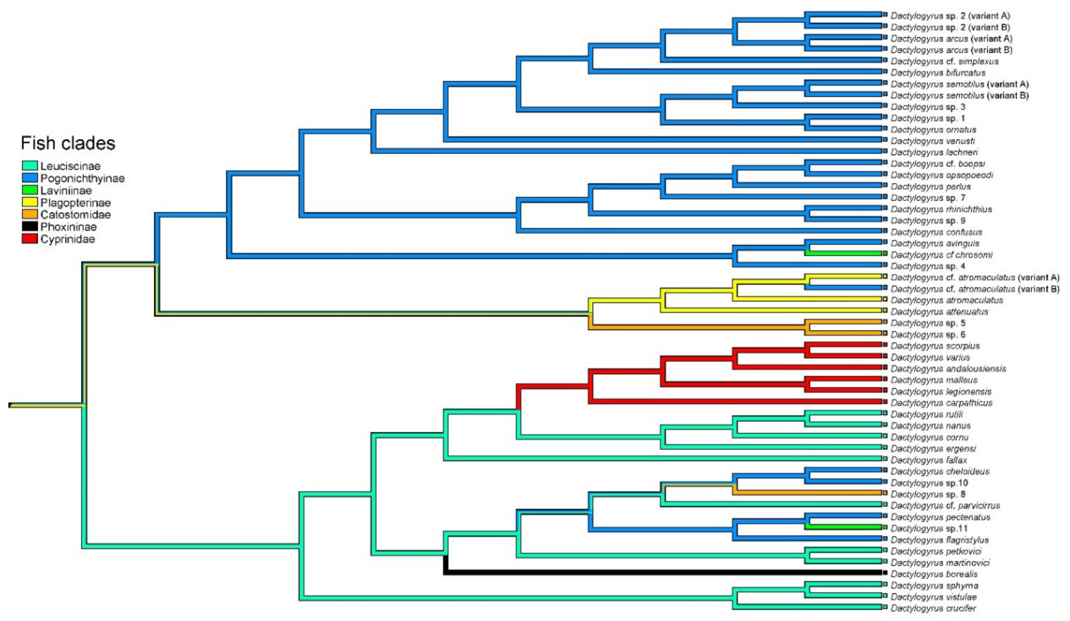 Biology 11 00229 g005
