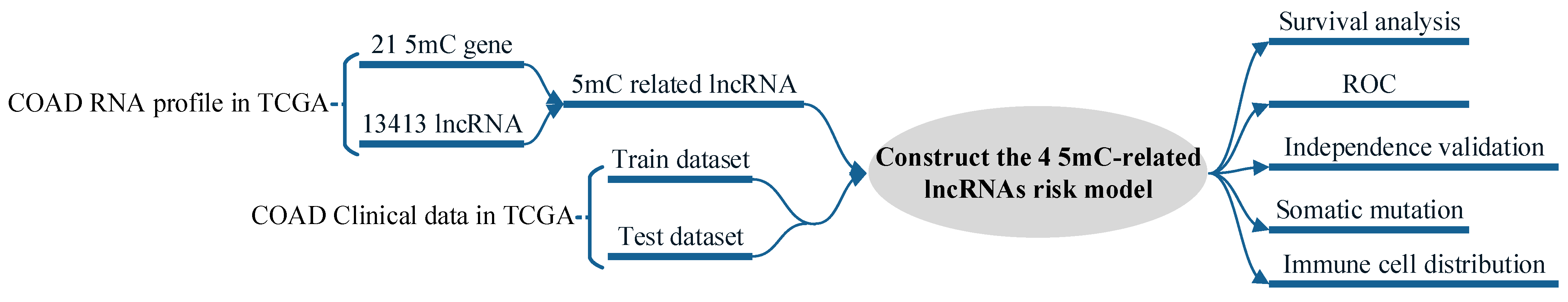 Biology 11 00231 g001 550