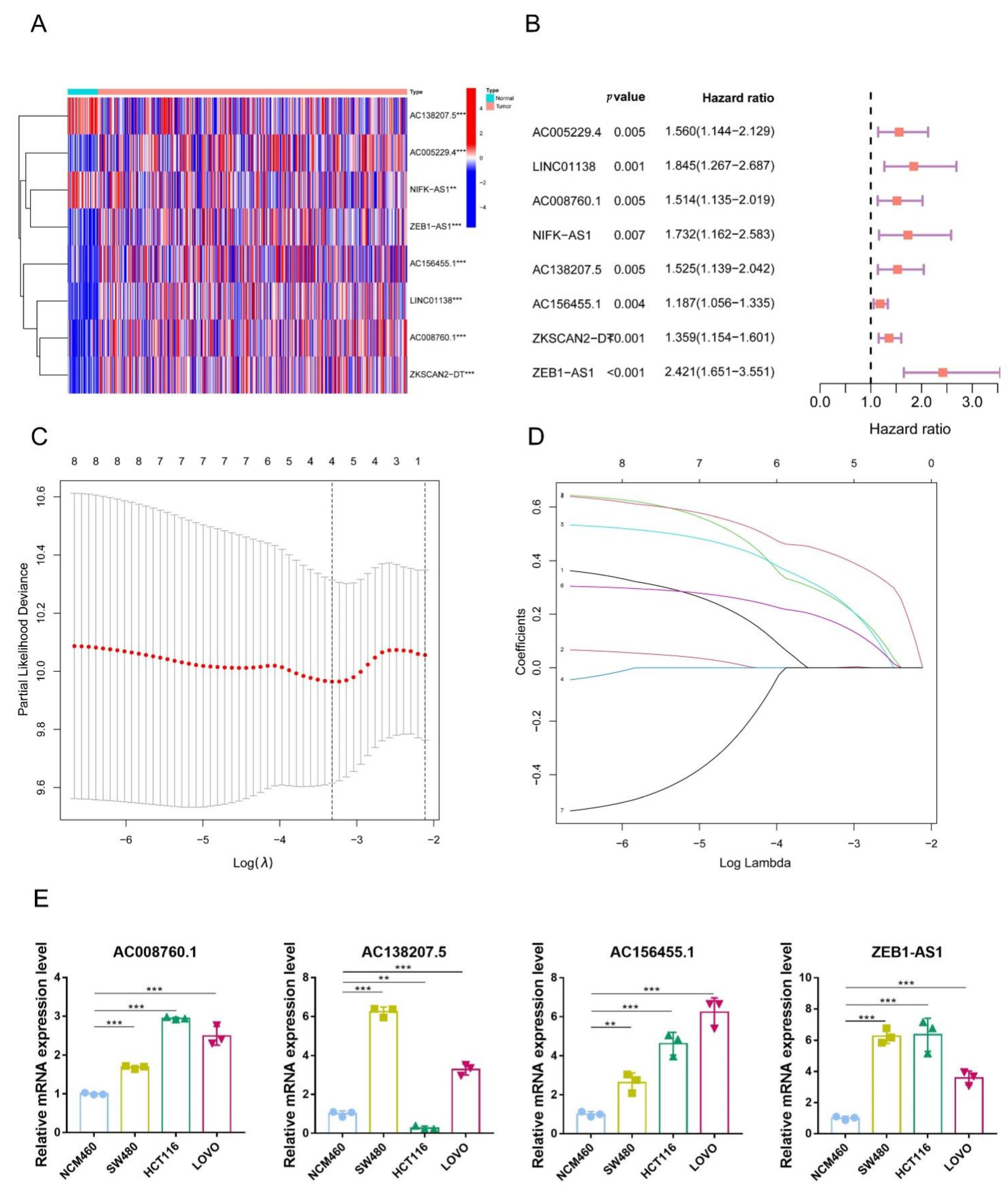 Biology 11 00231 g003 550