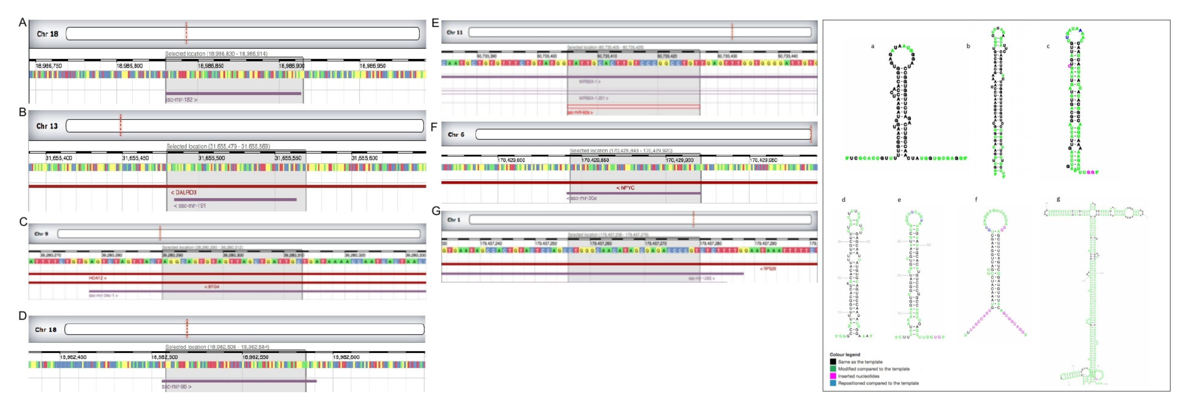 Biology 11 00236 g002 Biology 11 00236 g002