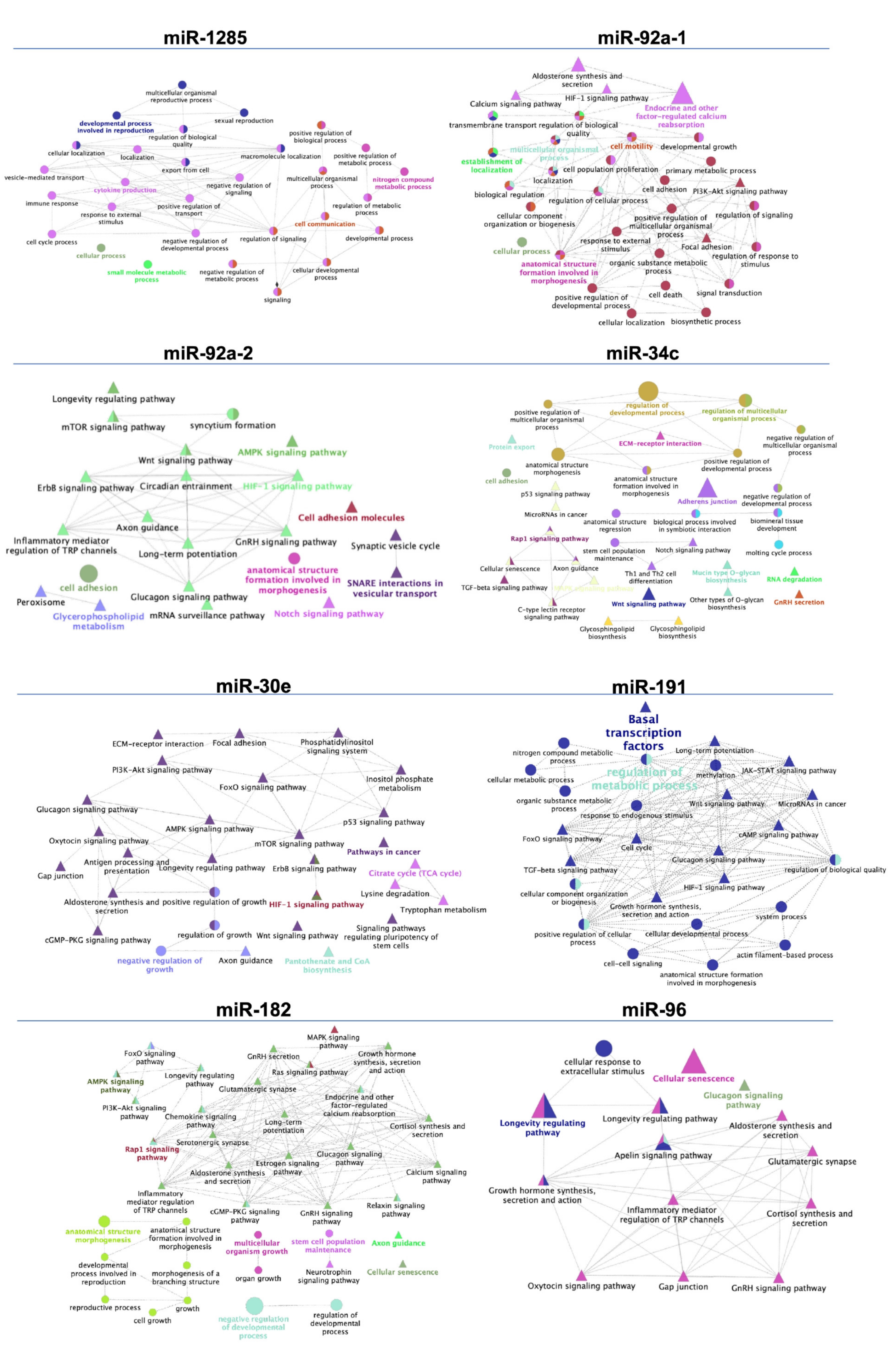 Biology 11 00236 g004 Biology 11 00236 g004