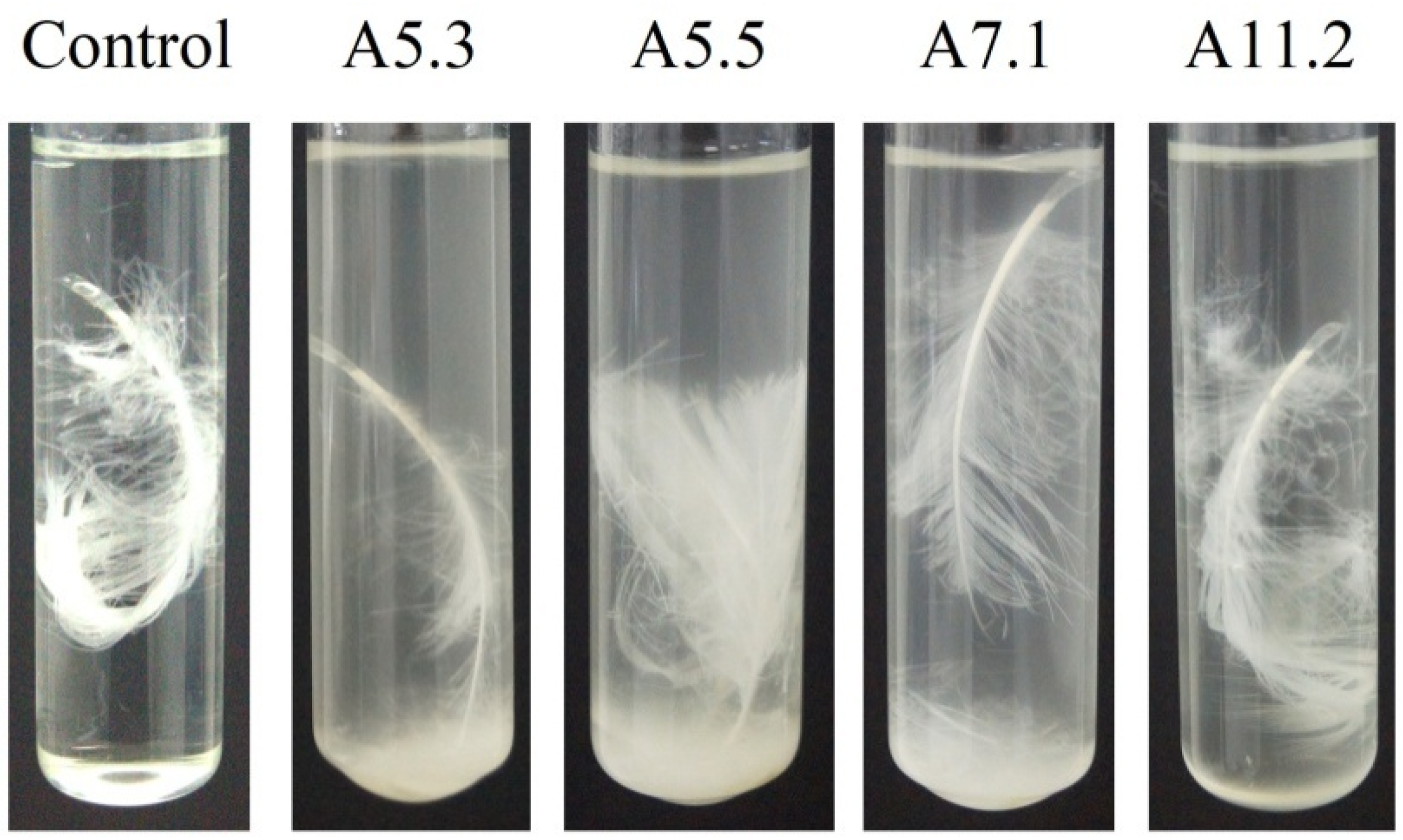 Biology 11 00244 g002 Biology 11 00244 g002