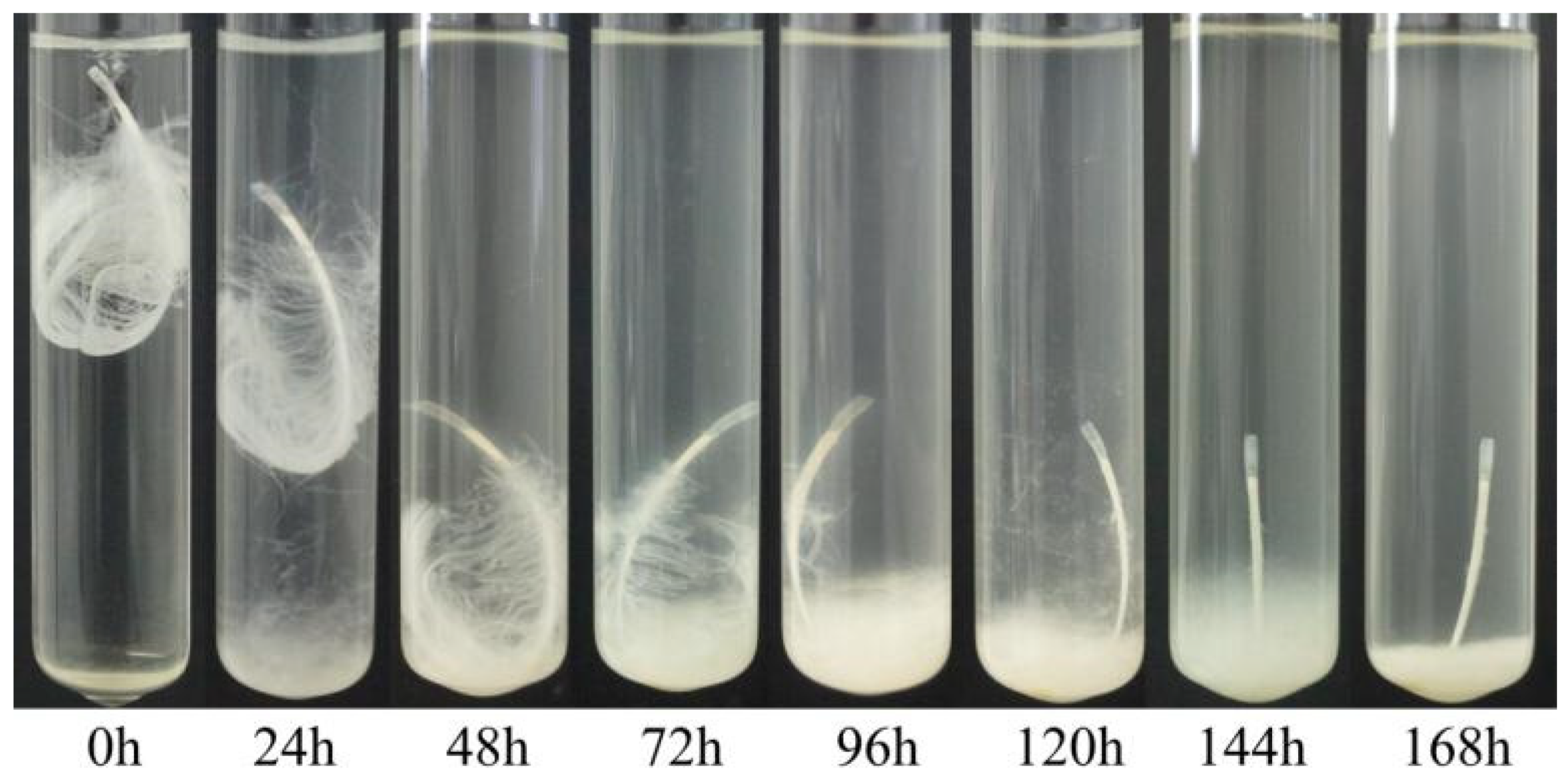Biology 11 00244 g007 Biology 11 00244 g007