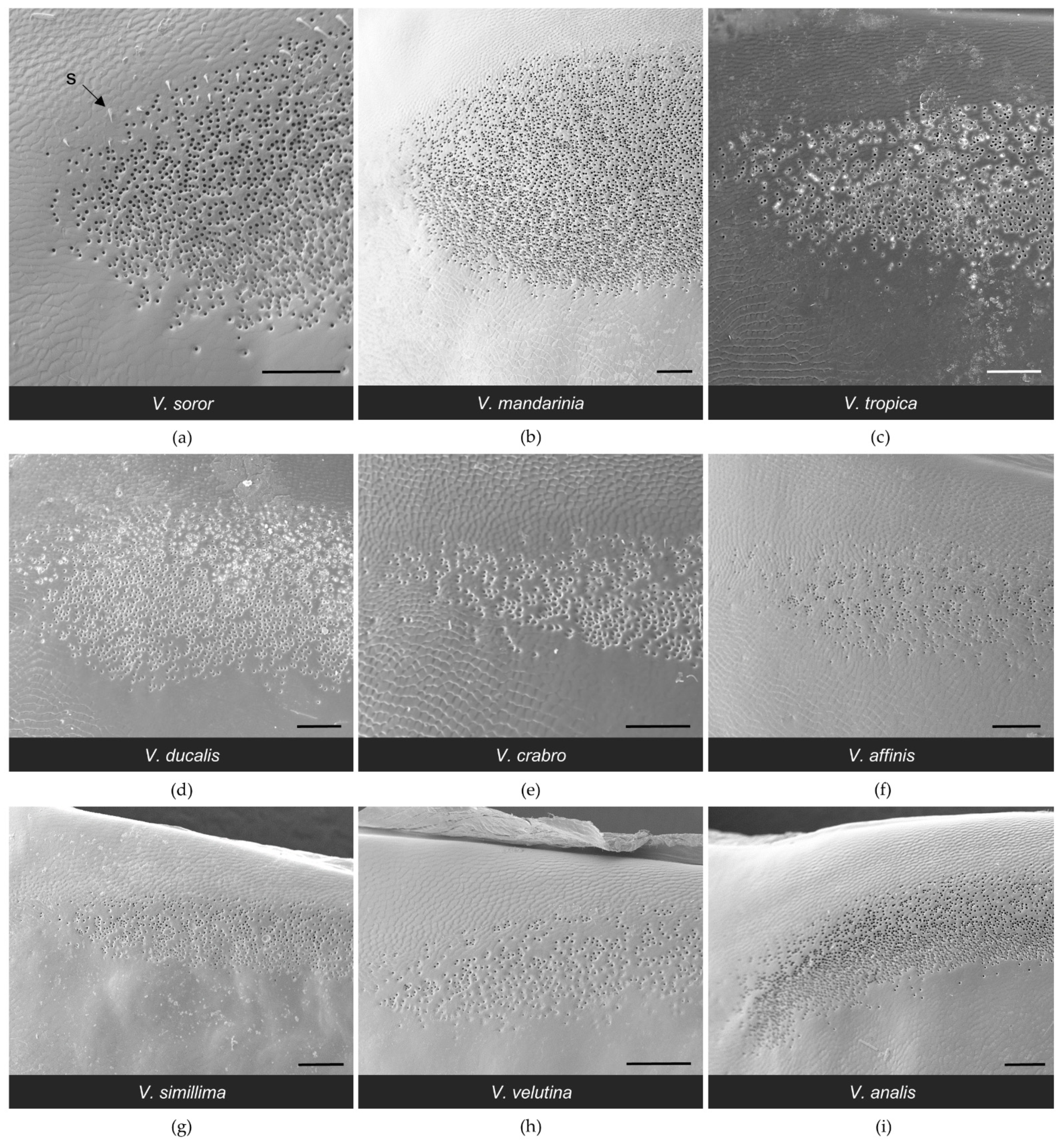 Biology 11 00245 g008 Biology 11 00245 g008