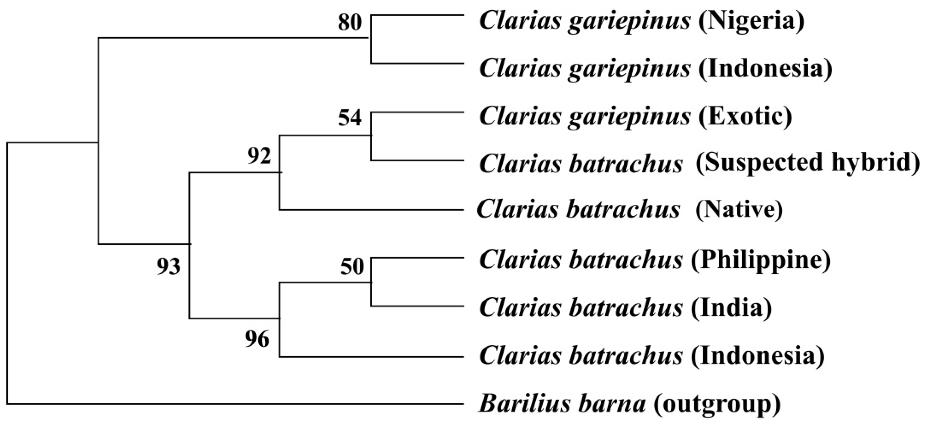 Biology 11 00252 g004