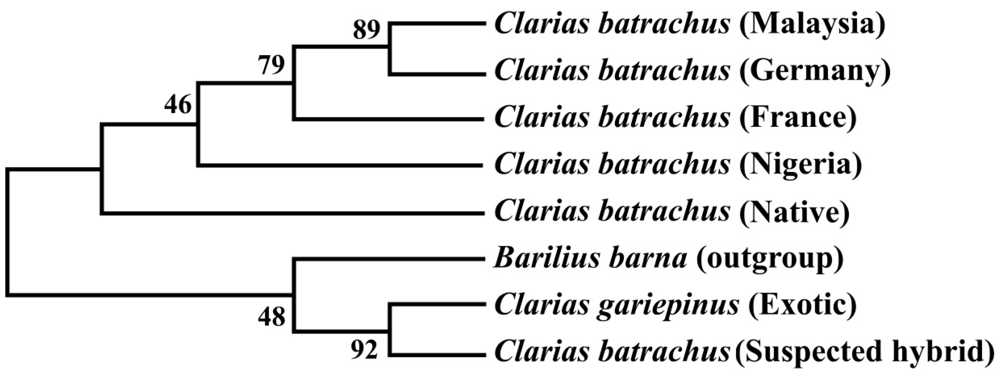 Biology 11 00252 g005