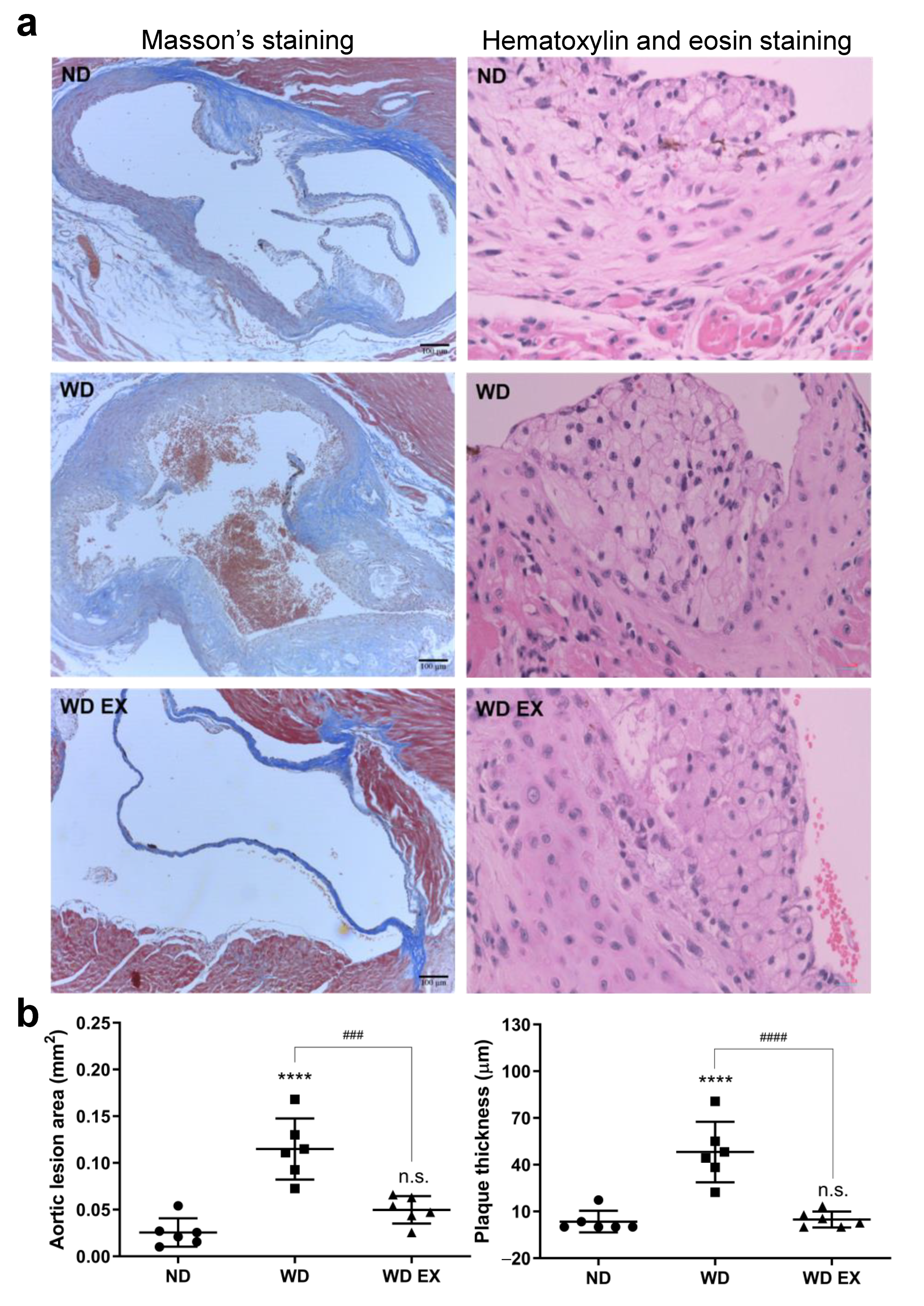 Biology 11 00253 g001 Biology 11 00253 g001