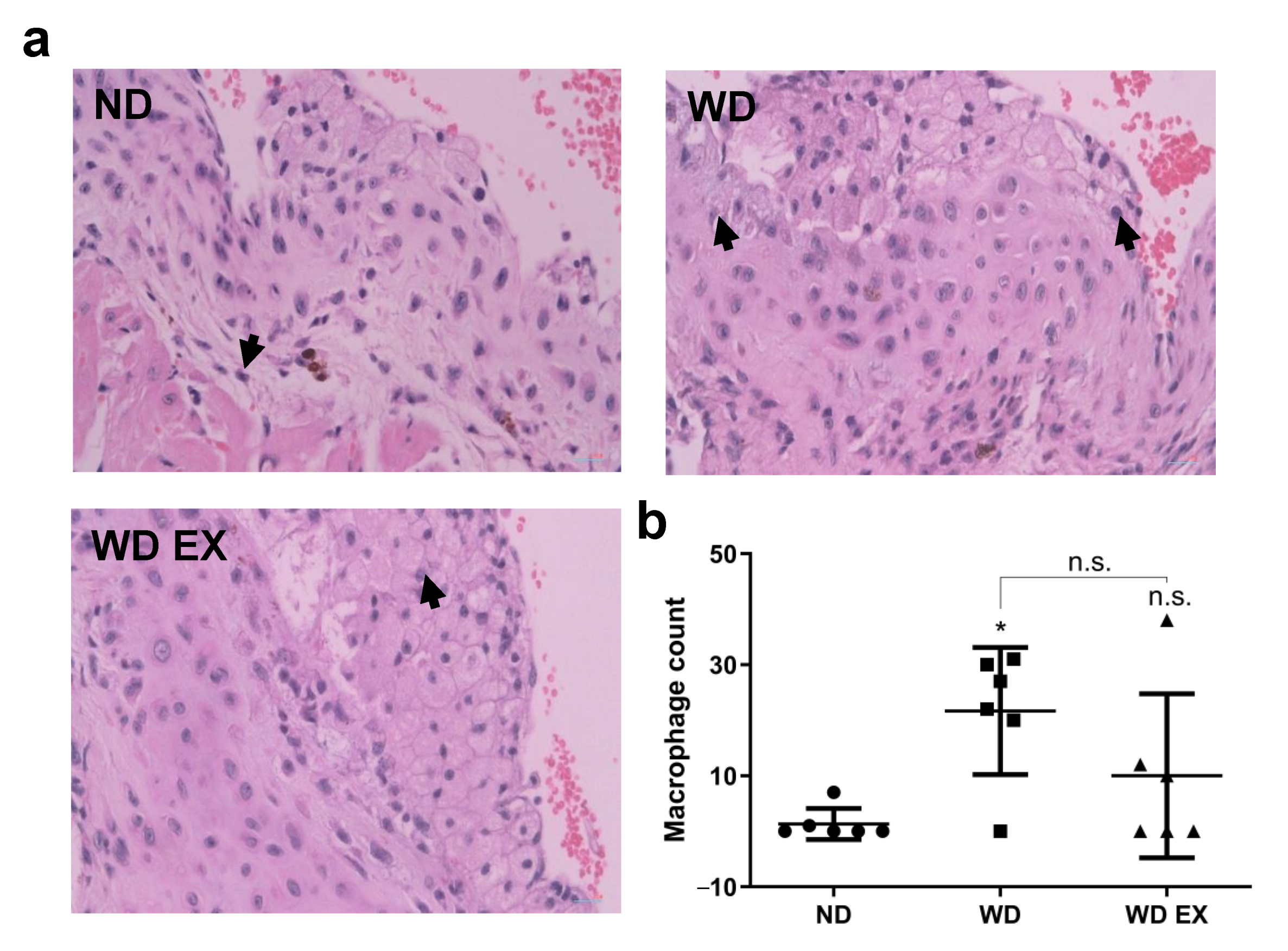 Biology 11 00253 g005 Biology 11 00253 g005
