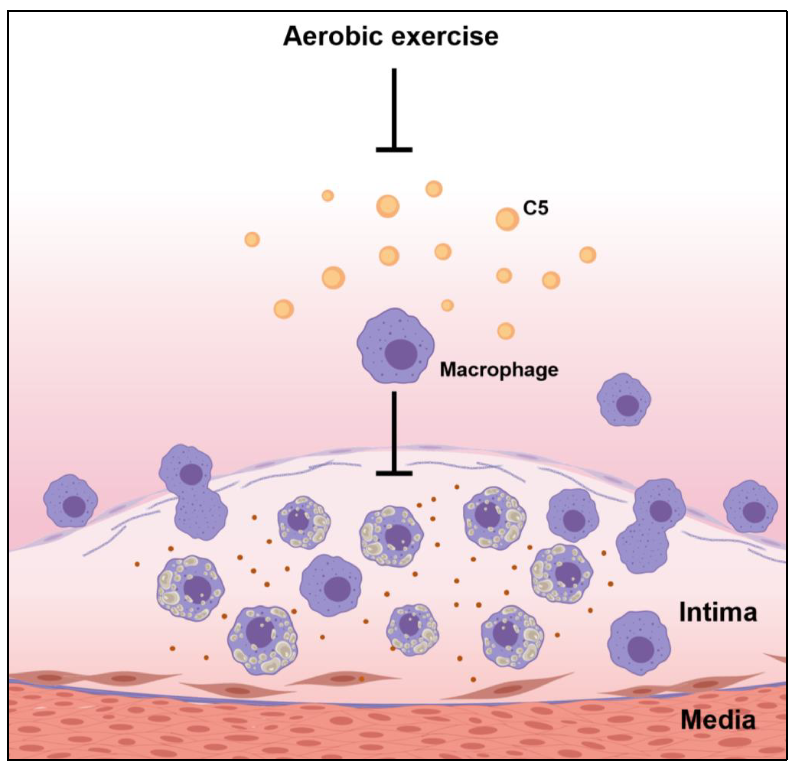 Biology 11 00253 g006 Biology 11 00253 g006