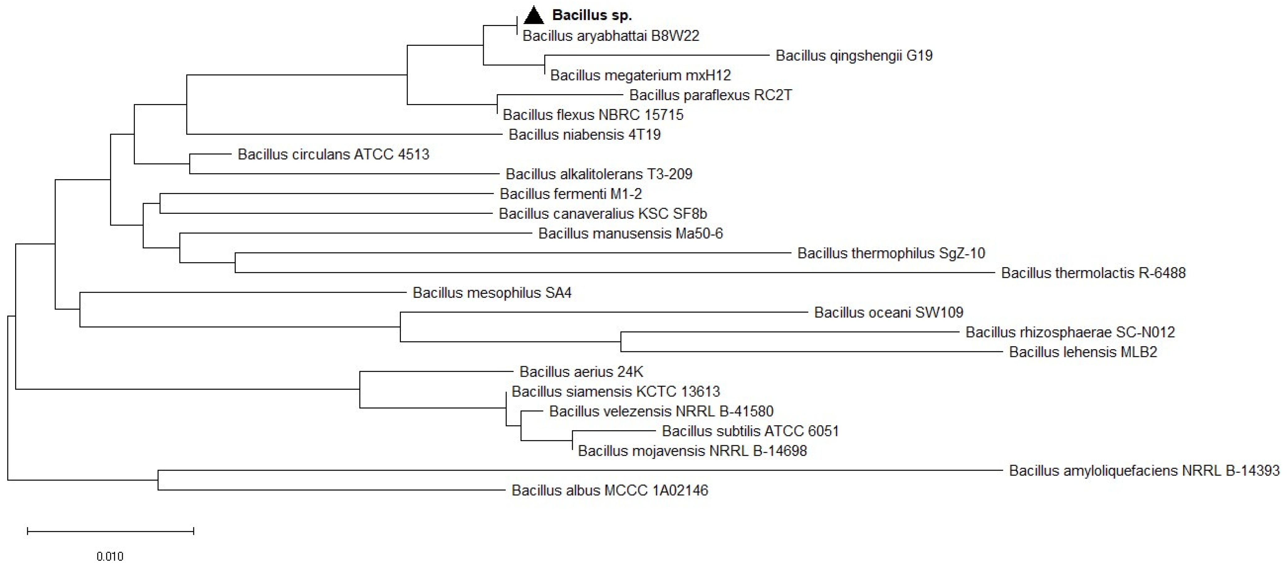 Biology 11 00254 g001 Biology 11 00254 g001