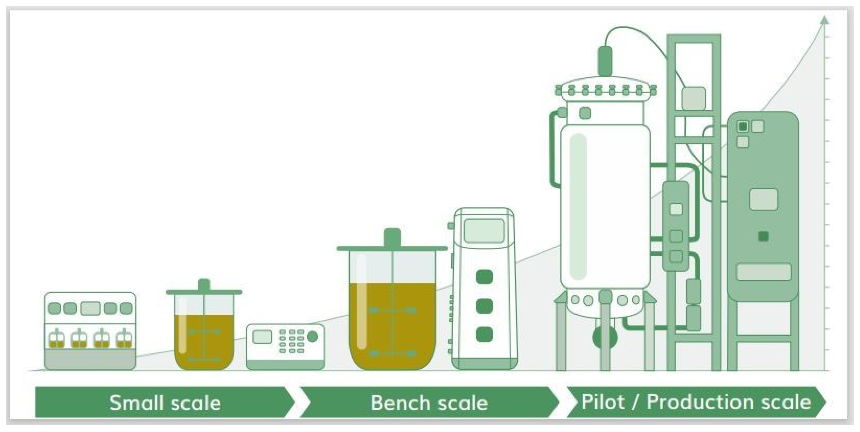 Biology 11 00254 g003a Biology 11 00254 g003a