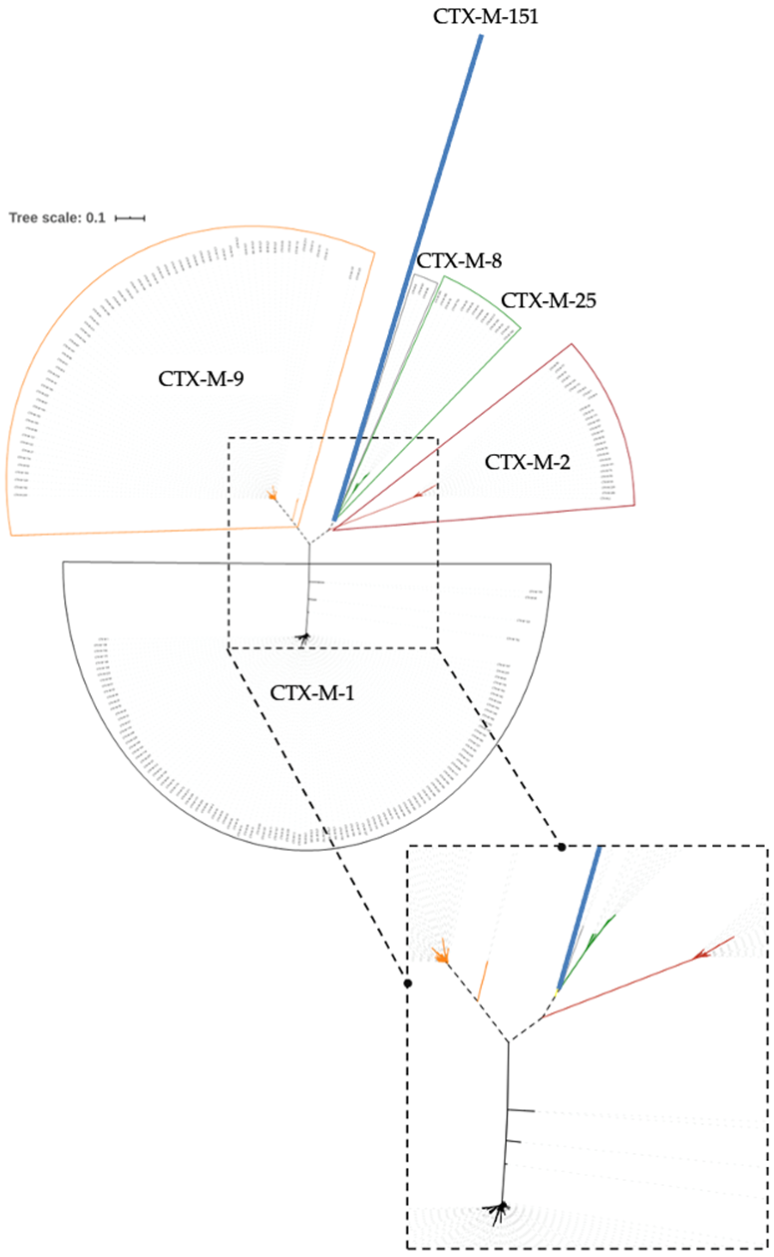 Biology 11 00256 g001 Biology 11 00256 g001