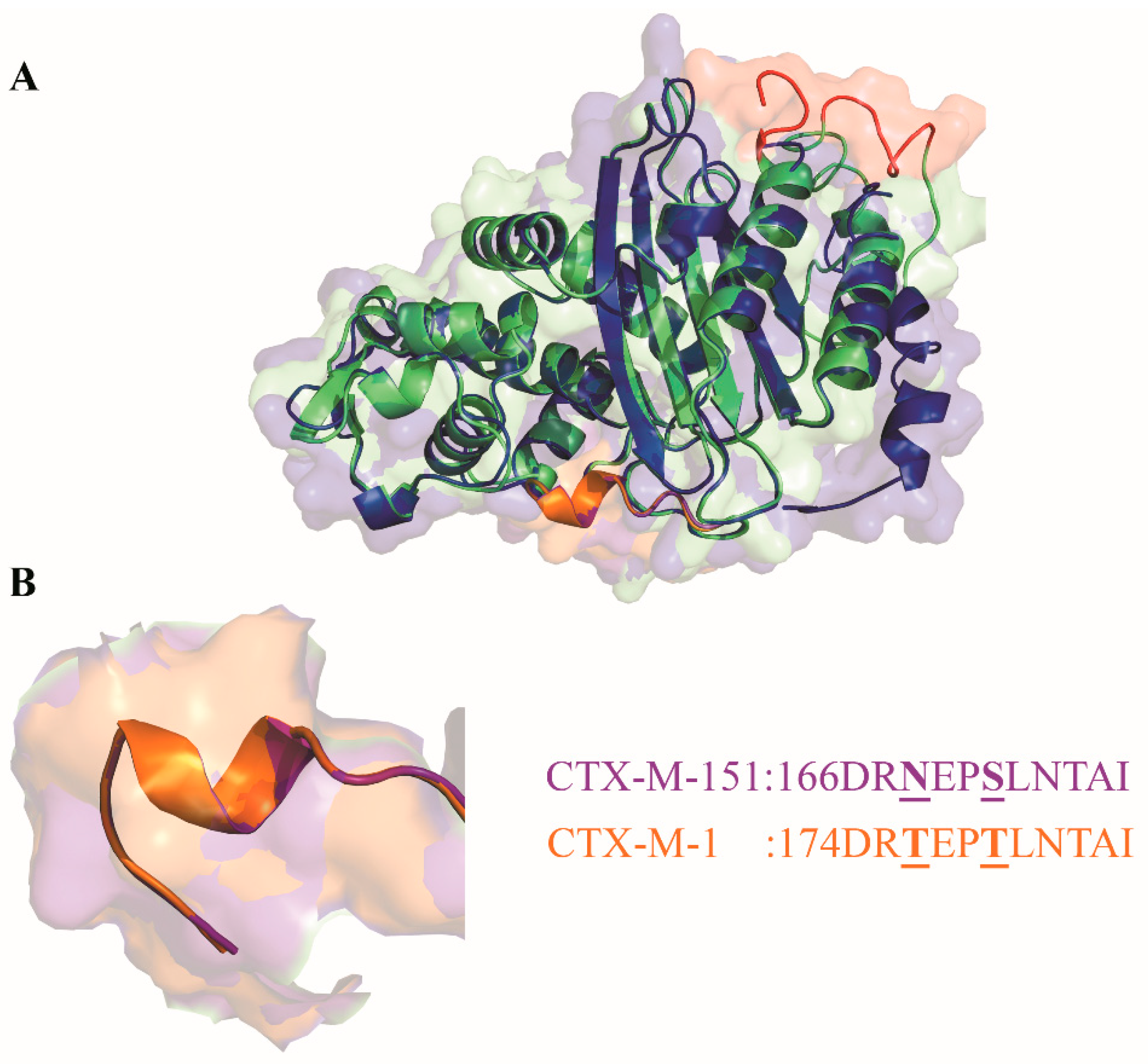 Biology 11 00256 g003 Biology 11 00256 g003