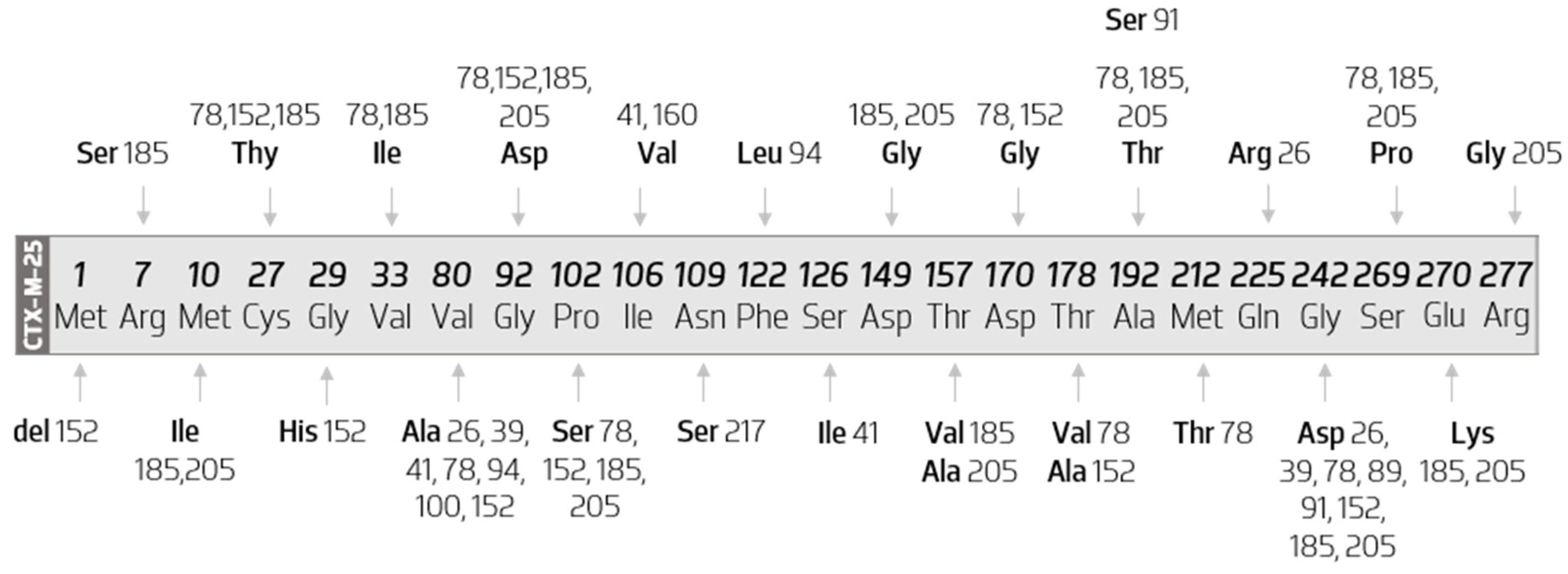 Biology 11 00256 g008 Biology 11 00256 g008