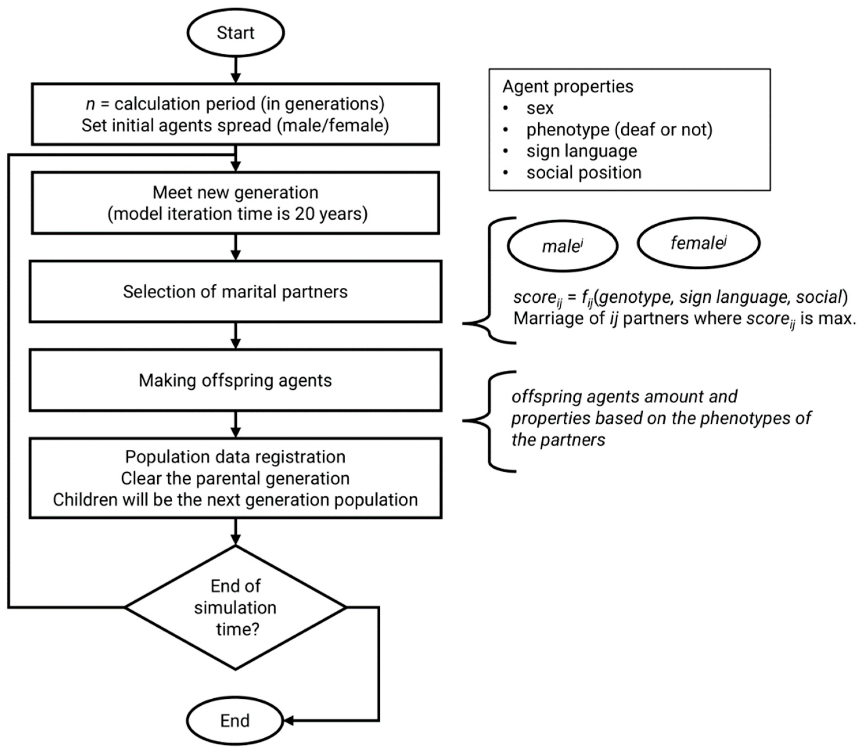 Biology Free Full-Text Agent-Based Modeling of Autosomal Recessive Deafness 1A (DFNB1A) Prevalence with Regard to Intensity of Selection Pressure in Isolated Human Population