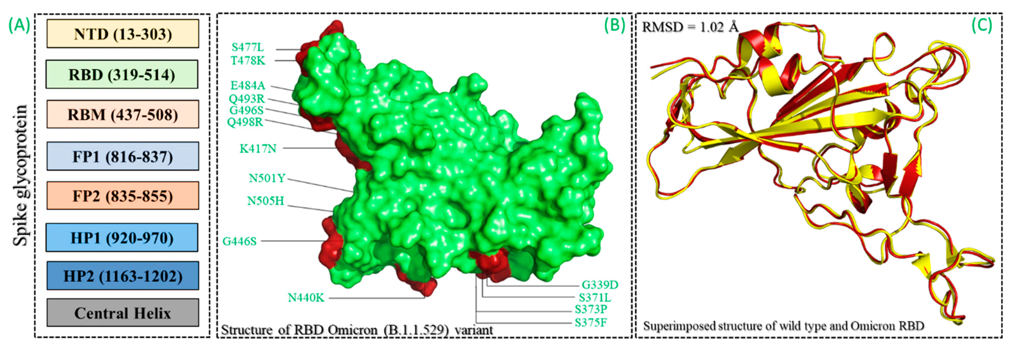 Biology 11 00258 g002