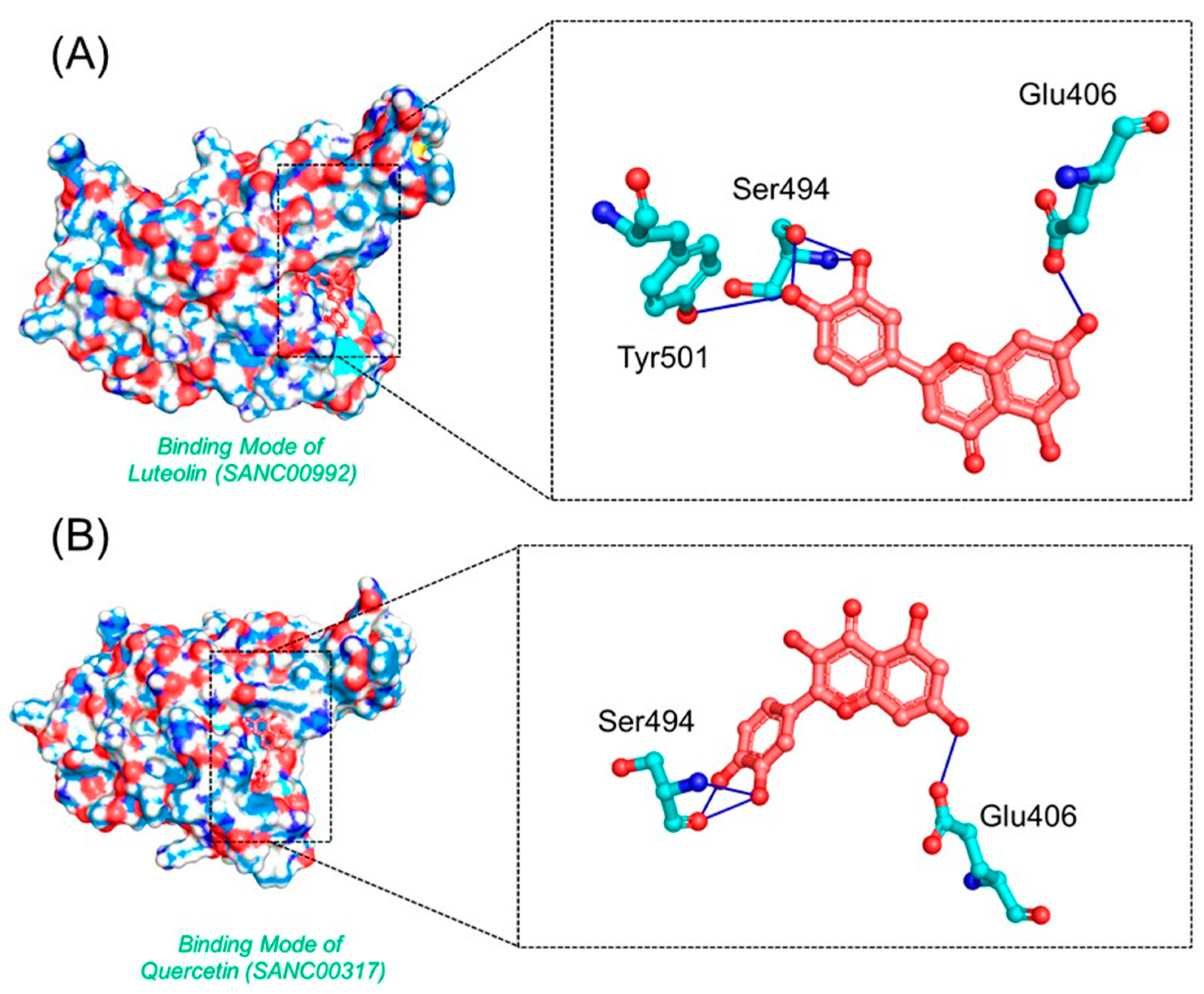 Biology 11 00258 g005