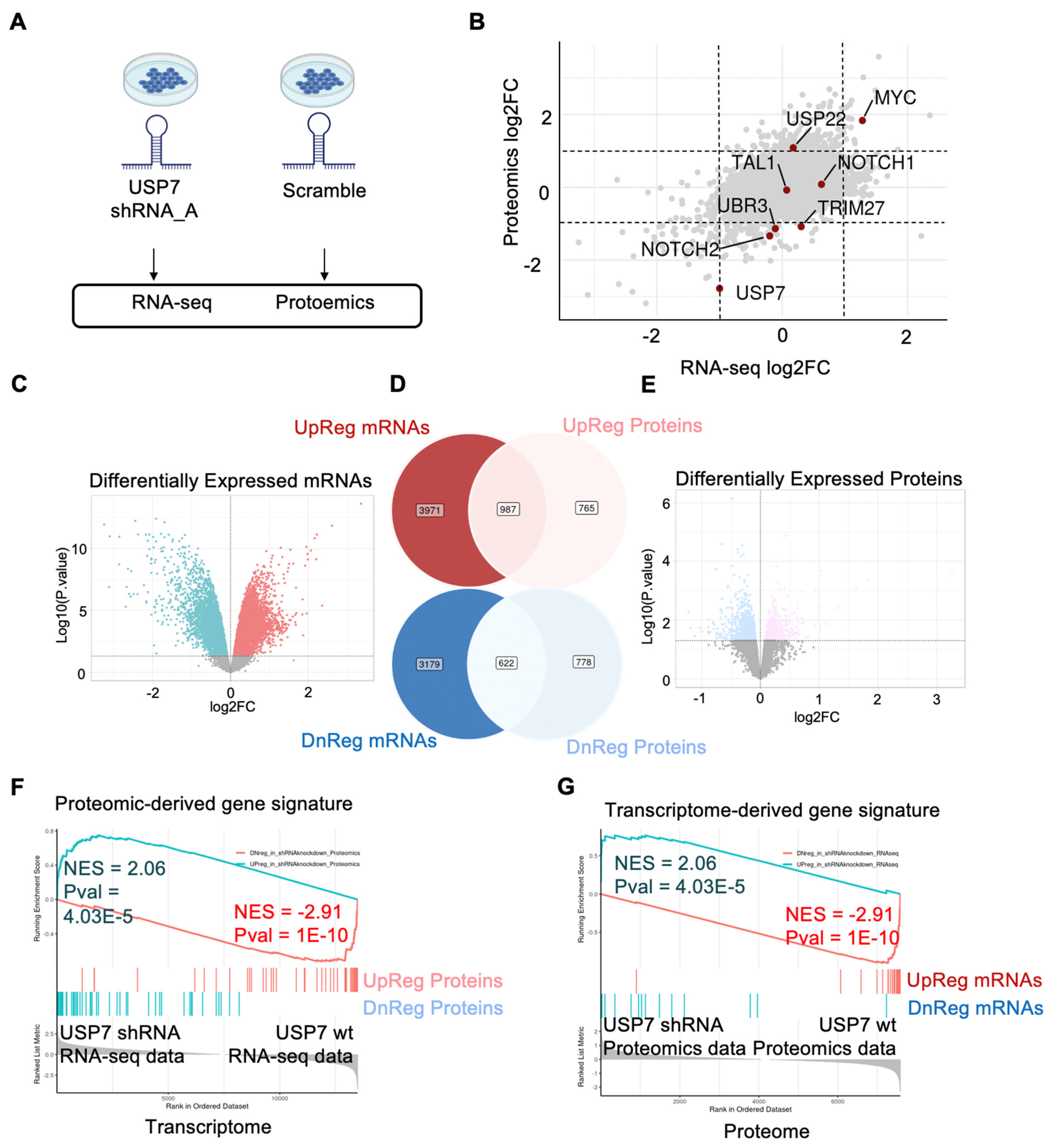 Biology 11 00260 g003