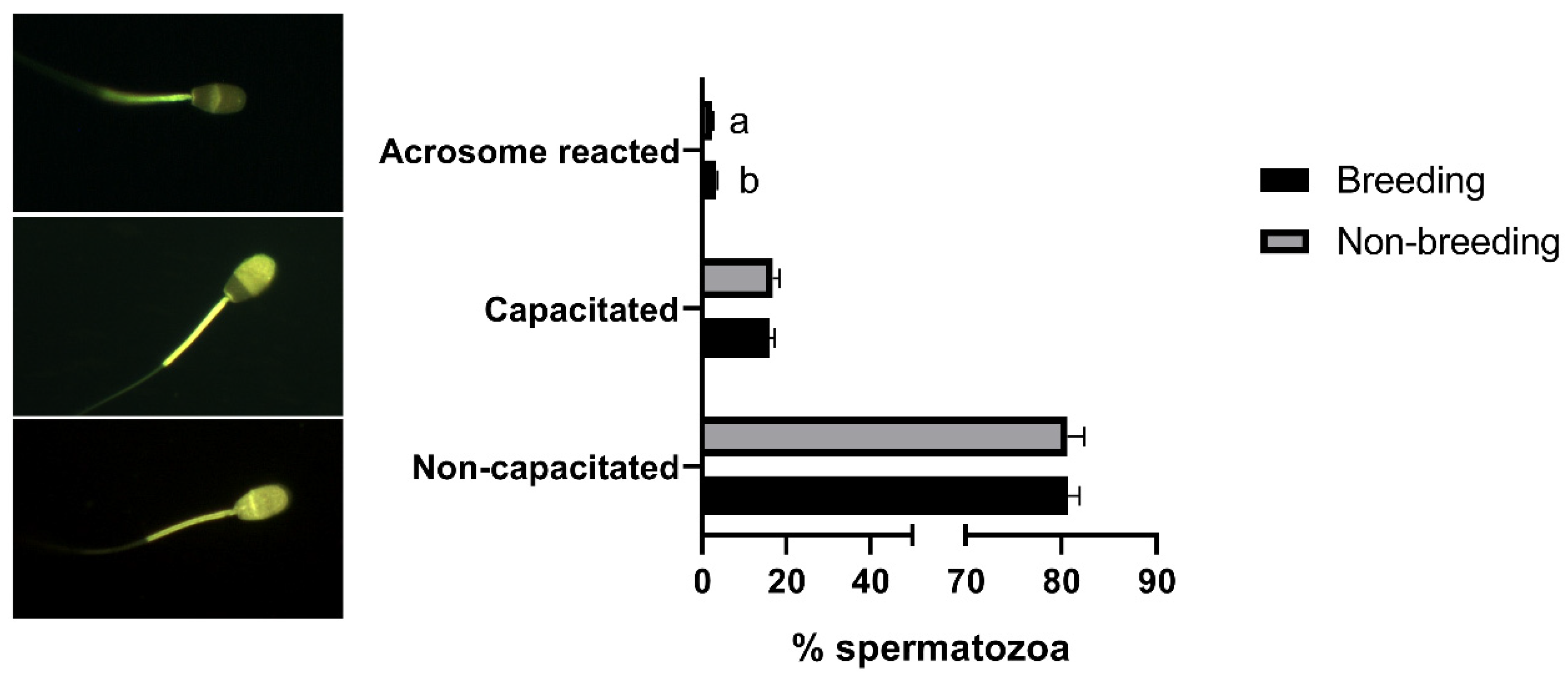 Biology 11 00261 g002 Biology 11 00261 g002