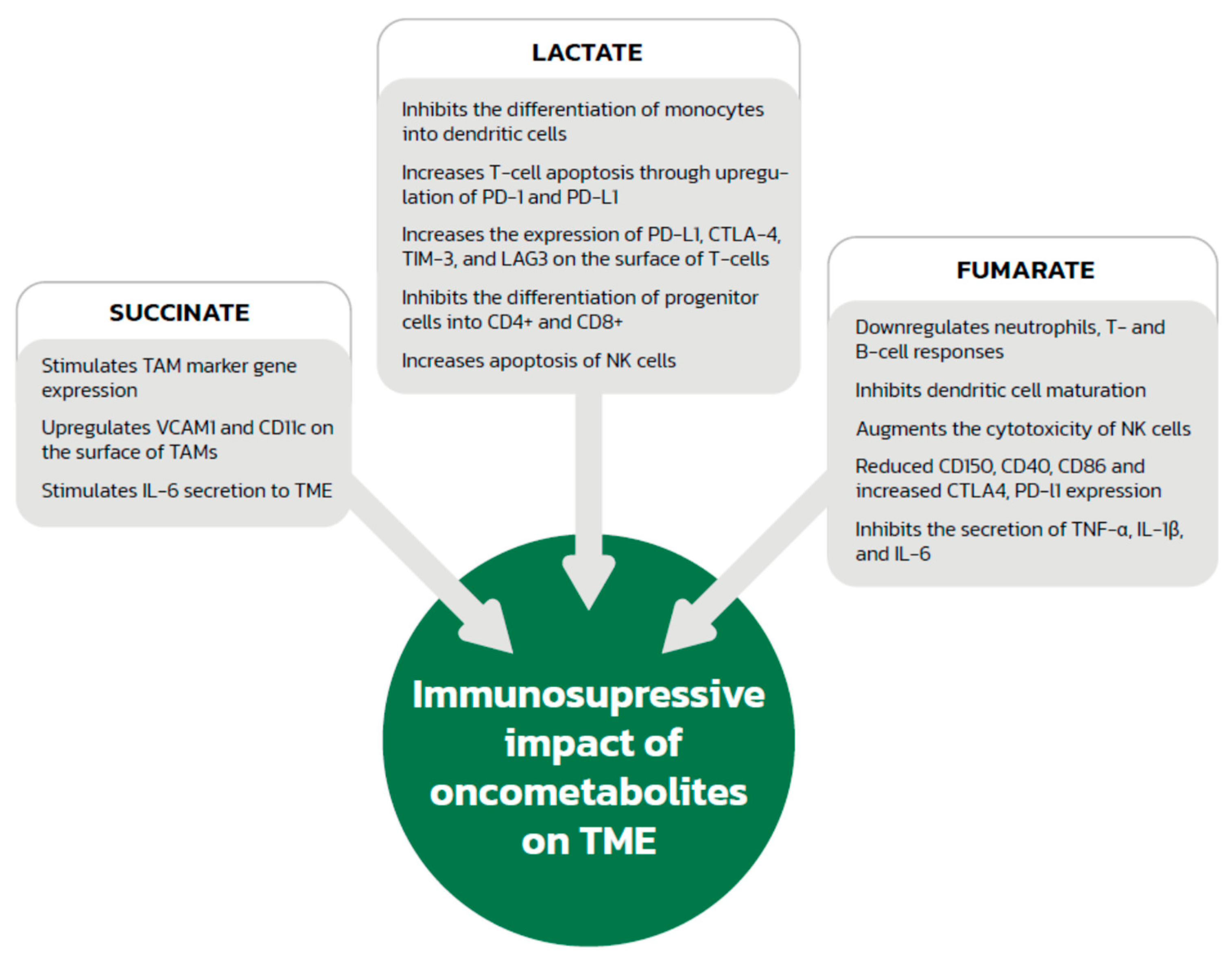 Biology 11 00270 g002