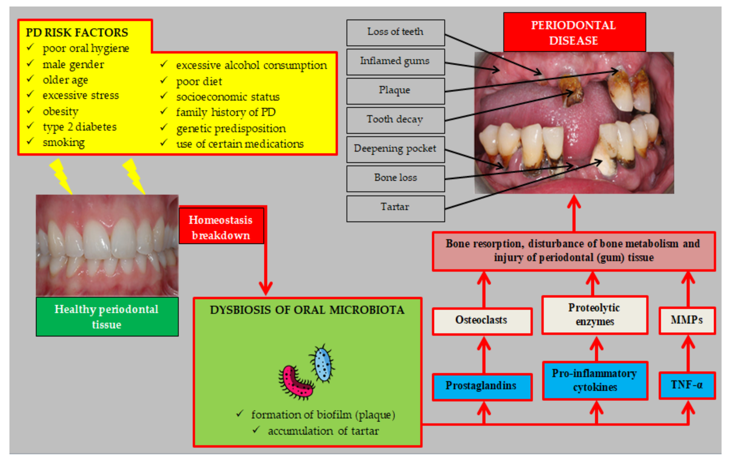 Biology 11 00272 g001 Biology 11 00272 g001